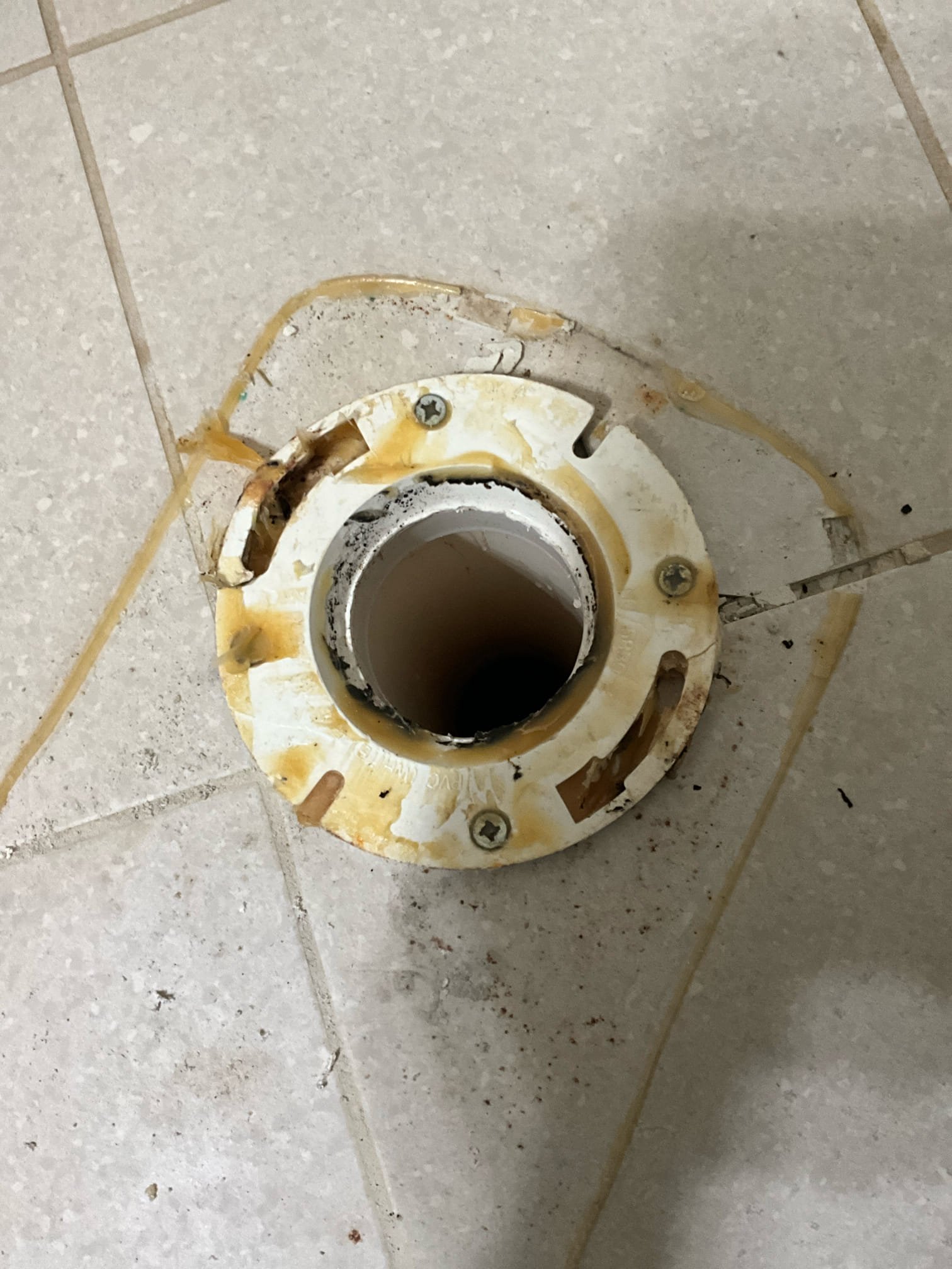 Quoted work complete. Additionally, minor flange repair was performed in guest bathroom toilet flange.


Install two customer provided toilets.

Kohler Memoirs collection or similar square base would best match existing footprint. Current toilets are low and round, but we discussed improving them to be comfortable height and elongated. This is an example of the toilet we discussed for the hallway bathroom. It is elongated and taller than the existing one.

https://www.fergusonhome.com/product/summary/562109?uid=1690706&inv2=1&gclsrc=aw.ds&source=gg-gba-pla_1690706%21c1709211109%21a81051207338%21dc%21ng&gad_source=1&gad_campaignid=1709211109&gclid=EAIaIQobChMIi4W21KCzkQMV23R_AB2Z2i_rEAQYASABEgLbK_D_BwE

*Please note, this toilet does not come with a toilet seat.

This is an example of the toilet for the guest bathroom. It is round, like the current toilet, but is taller.

https://www.fergusonhome.com/kohler-k-3933/s562436?uid=1867869

Please note, we can transfer the toilet seat from th