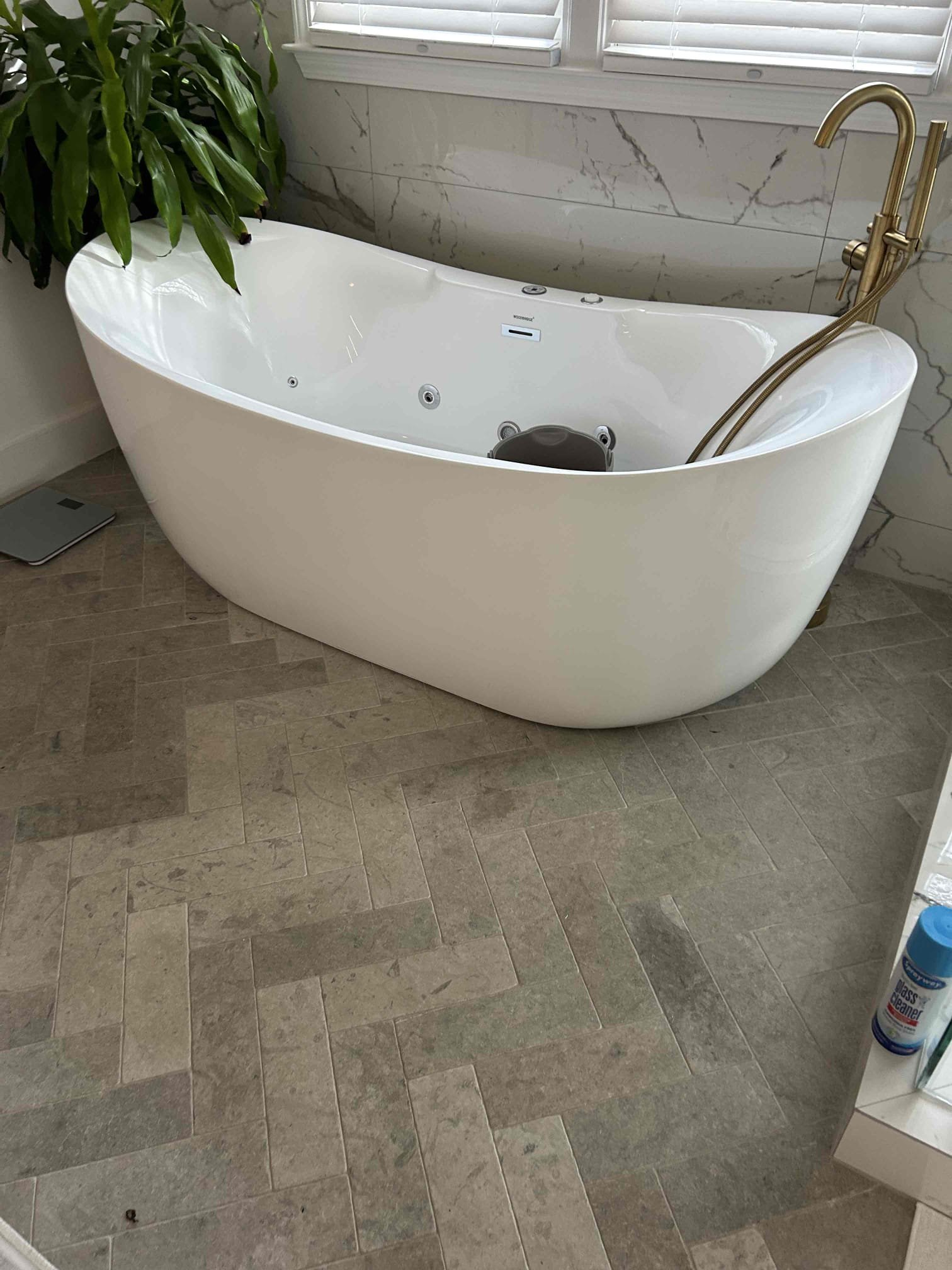 For this customer, they had a soft tissue blockage in their toilet. Their son had clogged the toilet and went further down the branch line when the homeowner was taking a shower the water rose from the shower and then in one big swoop it all flushed and drained out completely this incident happened on Saturday night of last week. My recommendation would be to pull the toilets in either the master bathroom or the kids bathroom to run a hammer down the sewer line to inspect it to make sure that there are no further issues occurring with the sewer line. They also have the Sewer line in the basement that would need to be replaced at some point from cast-iron to PVC at this time, there are no issues currently the toilets have been flushing like normal since that day at this point in time there’s not really much for me to do recommended water restoration due to the fact of the sewage that came downstairs. More than likely, the sewage came from the freestanding tub that is in the master bathr