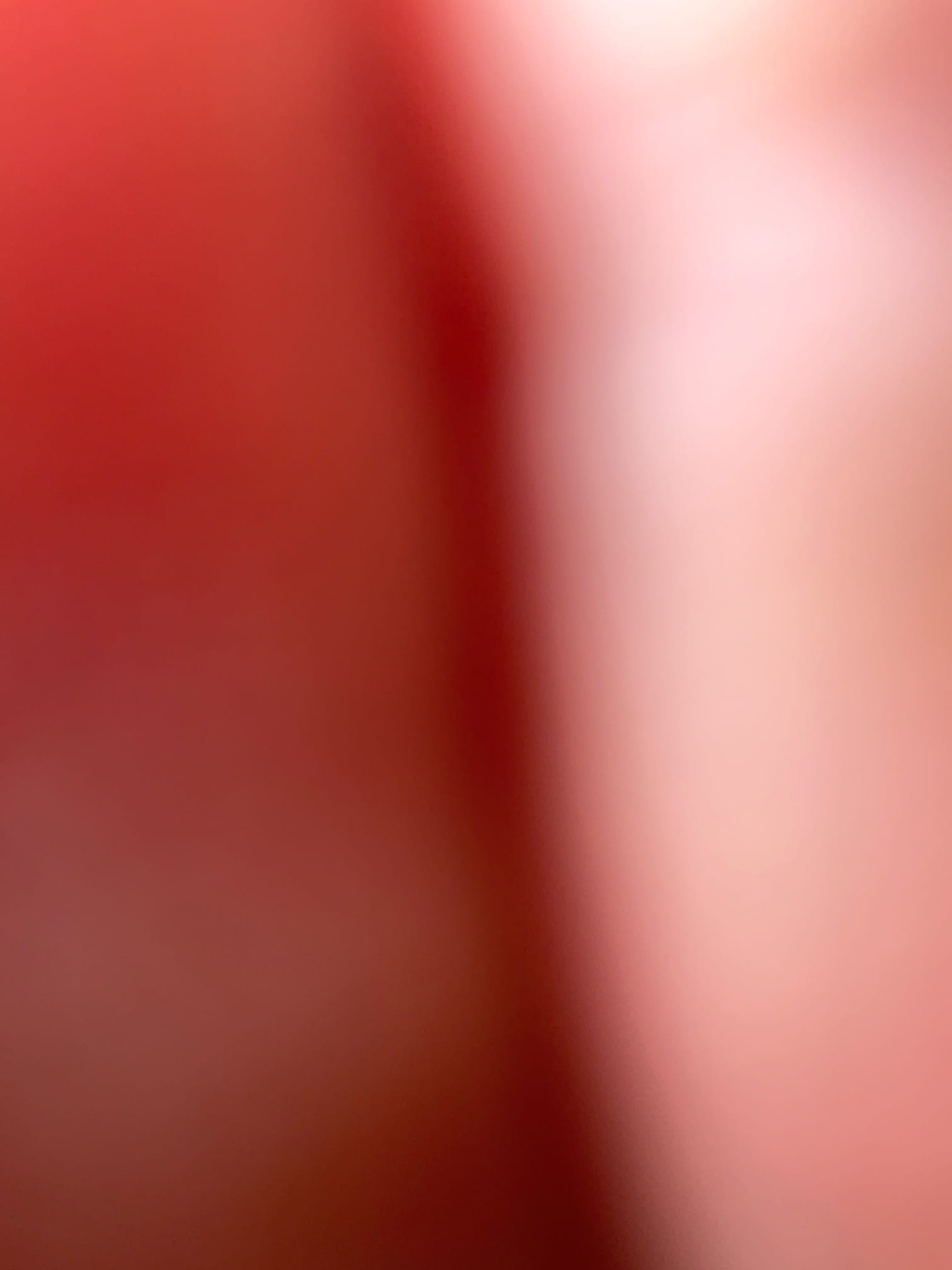 Hook up veggie sink after wall fixed 