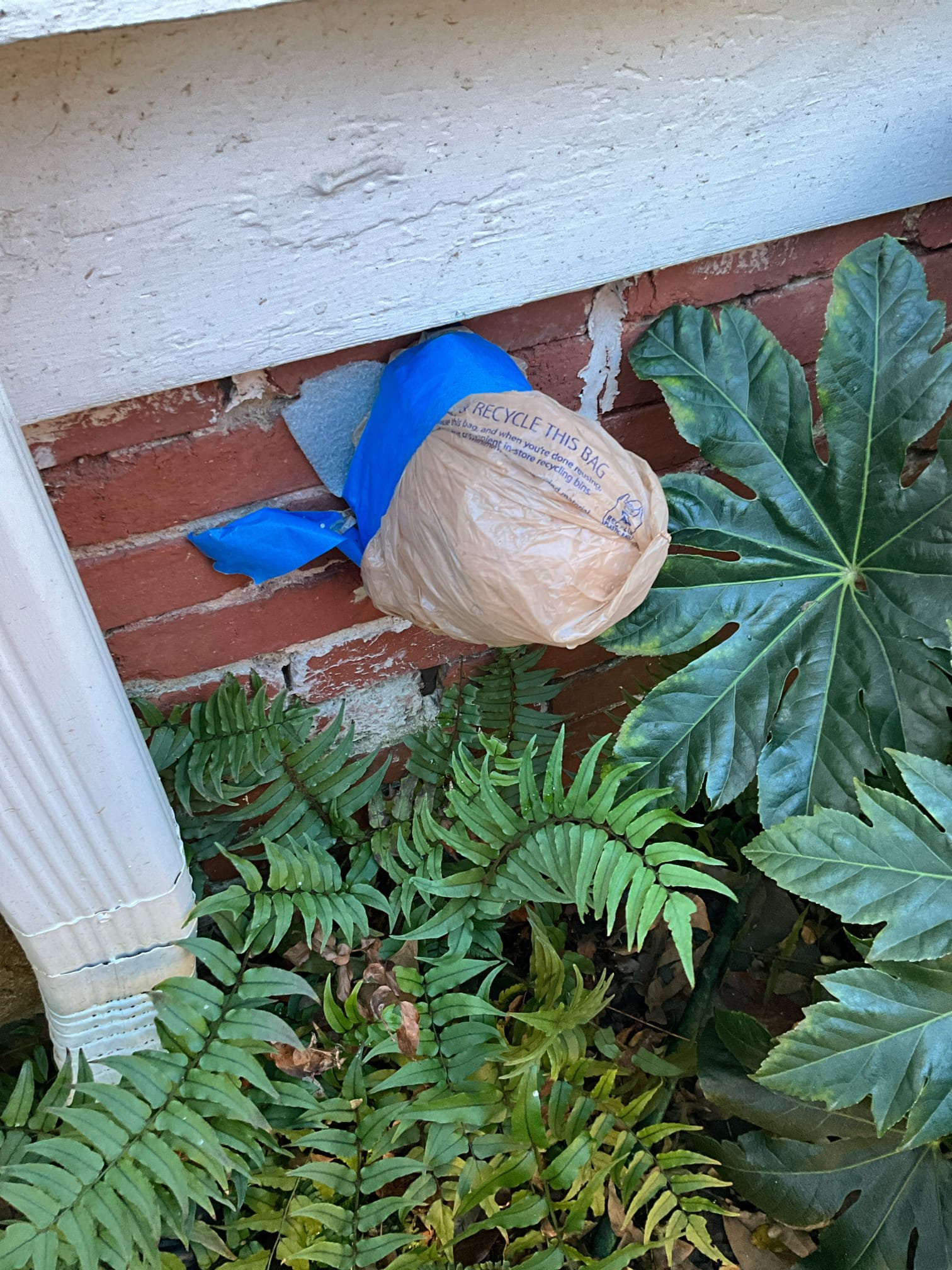 Call for leaking dishwasher stop valve.

Arrived and spoke with Mr. Brennan. He has the main house, and an additional tiny house in the back. The tiny house had a new dishwasher installed and the shut off valve developed a leak. 

Assessment shows that the shut off valve is old, and corrosion present along this section of pipe. I attempted to check water pressure, but hose spigots are winterized, and the water heater is incredibly old and has a plastic twist port. Also found loose p trap nut, and tightened to prevent continued drip from drain. Noticed a third drip spot and found that water has been splashing back along wooden backsplash, and wood appears to not be waterproofed. Recommend handyman address this issue to prevent further damage behind and under sink.

I cut away corroded valve and pipe, and installed two dedicated quarter turn shut off valves. Reattached faucet and dishwasher, checked for leaks. 

With the exception of the water heater, no immediate concerns present in tin