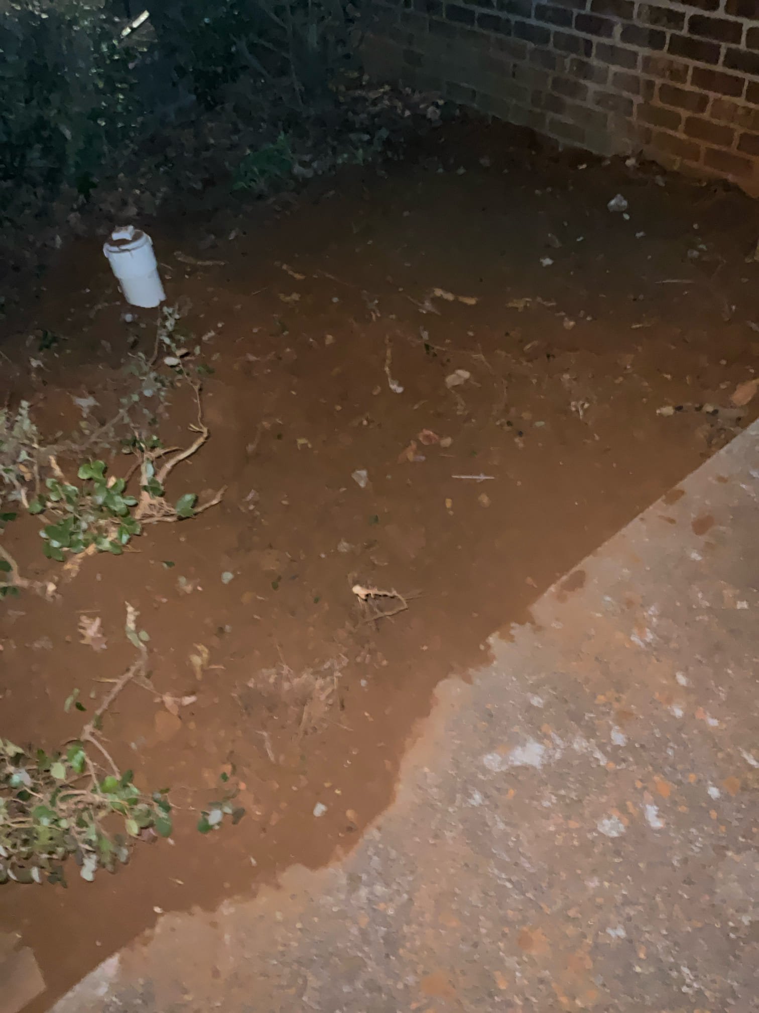 Camera inspection found roots and broken sewer pipe in front of home , used excavator dug up fixed broken pipe , also add additional clean out in basement 