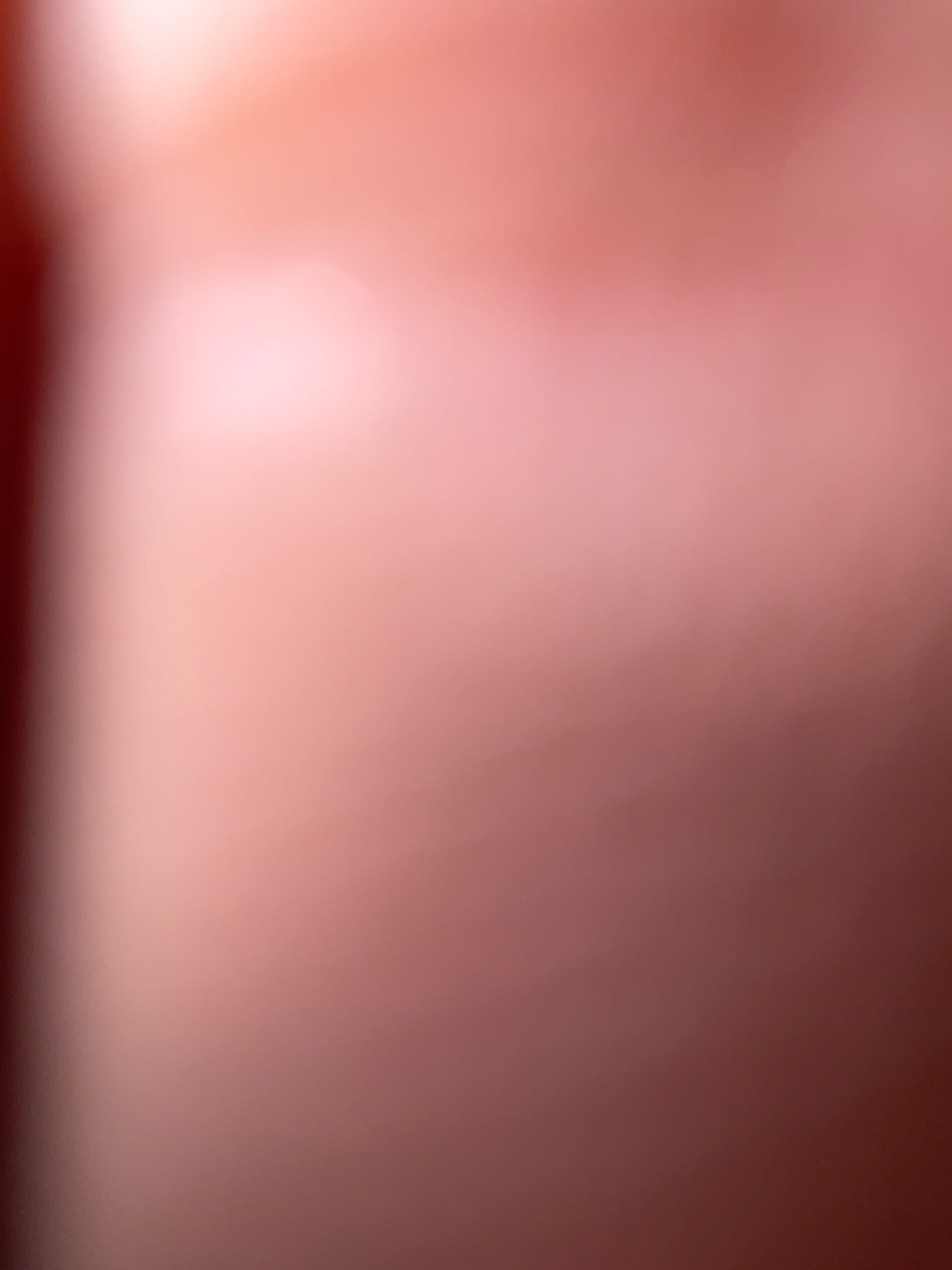 Clogged toilet , auger snaked cleared , could something still in toilet bowl caused back up , no wattanty 