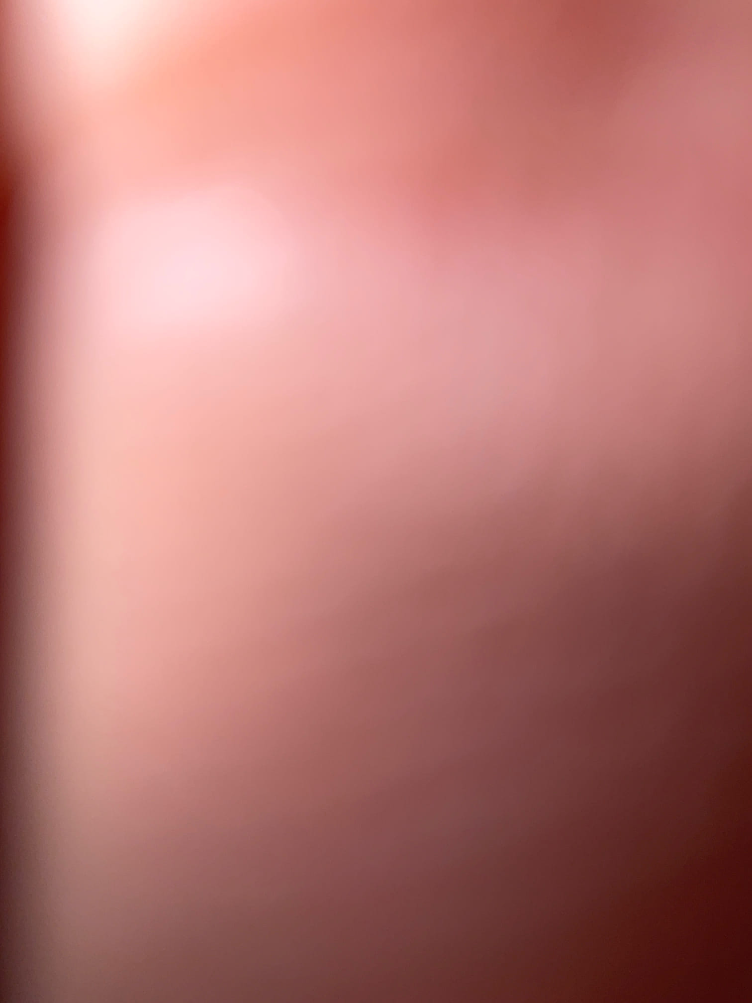 Clogged toilet , auger snaked cleared , could something still in toilet bowl caused back up , no wattanty 