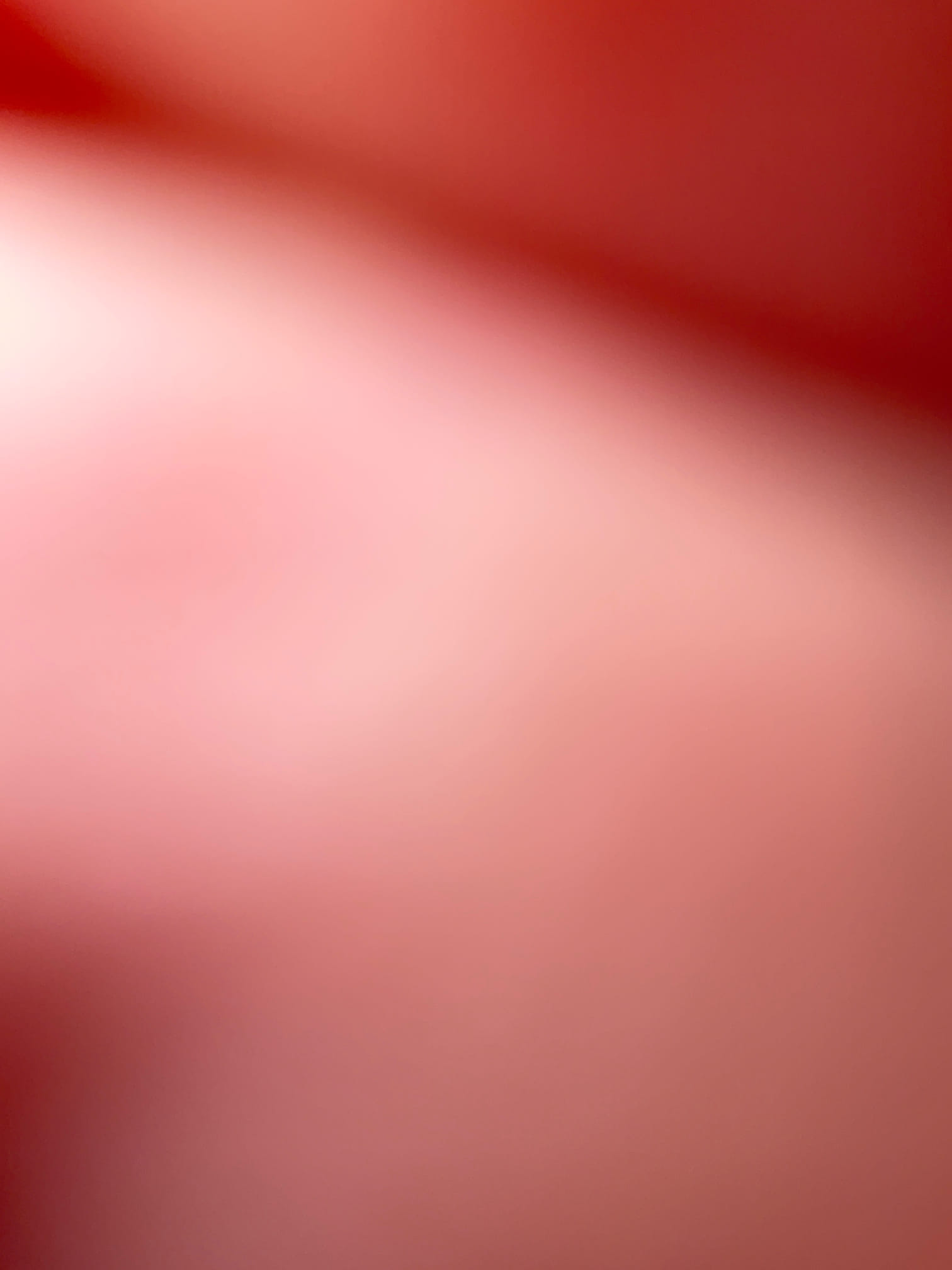 For sewer job we completed on 12/17/2025 there will be a 5 year warranty on material defects and workmanship.