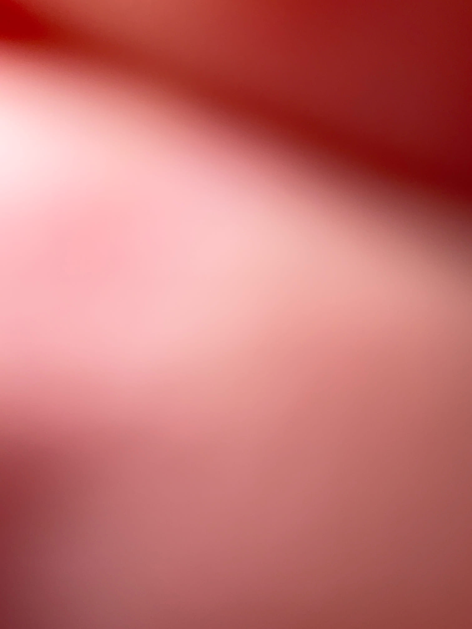 For sewer job we completed on 12/17/2025 there will be a 5 year warranty on material defects and workmanship.