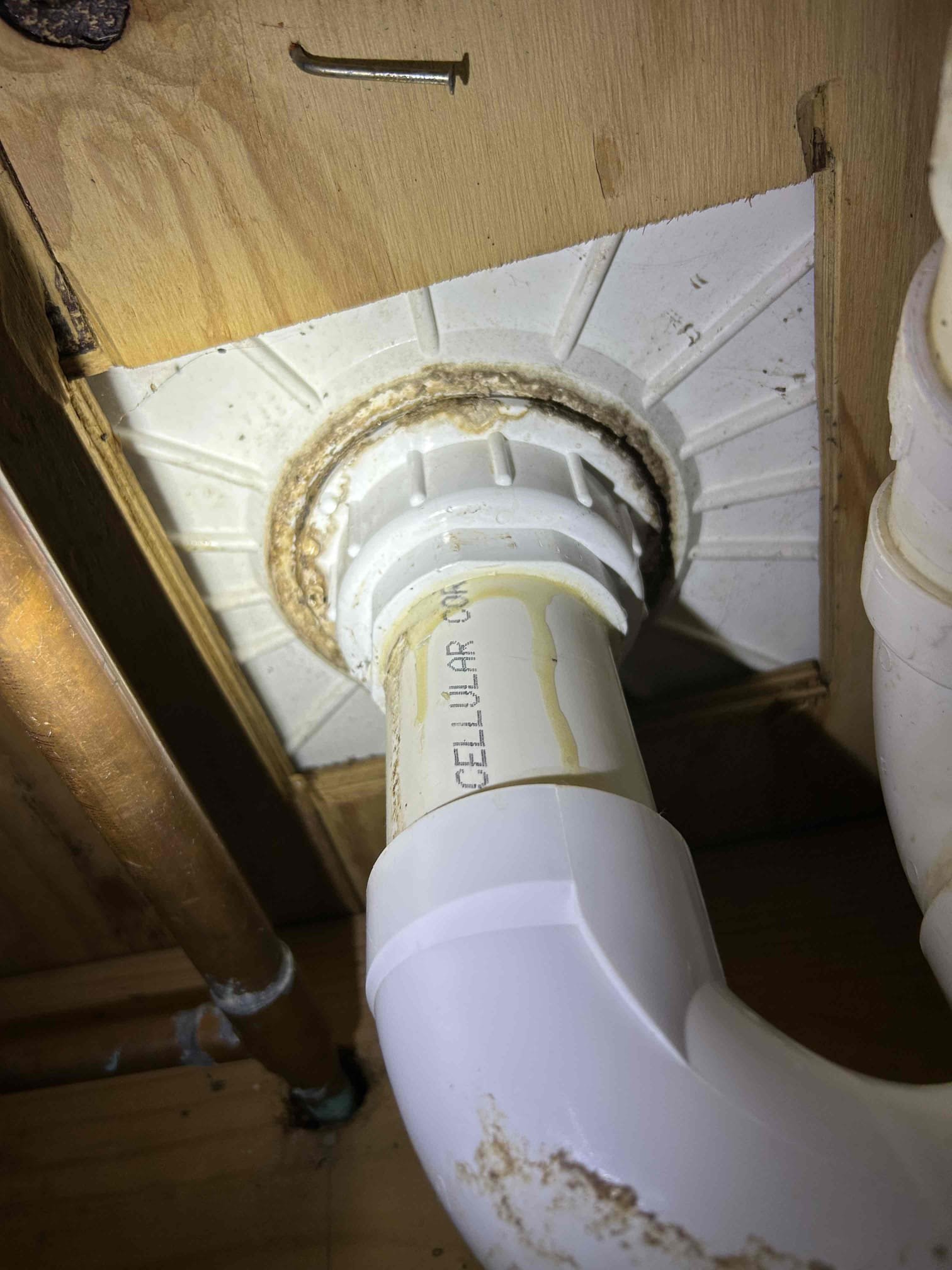 For this job, there was another leak when I first came out I located the leak for the tub that was leaking down below and as a result of that, I recommended to get a contractor with those tubs to get it fixed or have our water restoration partner take it out and potentially get fixed as well. However, that was not the only leak the shower floor drain was also leaking so therefore what I recommended is to cut the old pee trap out the old pipe and essentially reroute the PVC P-trap and install a brand new one once that was installed with the new shower drain, there are no leaks, primed and glued all fittings used a Fernco for one of the joints Once installed the job is complete no leaks 