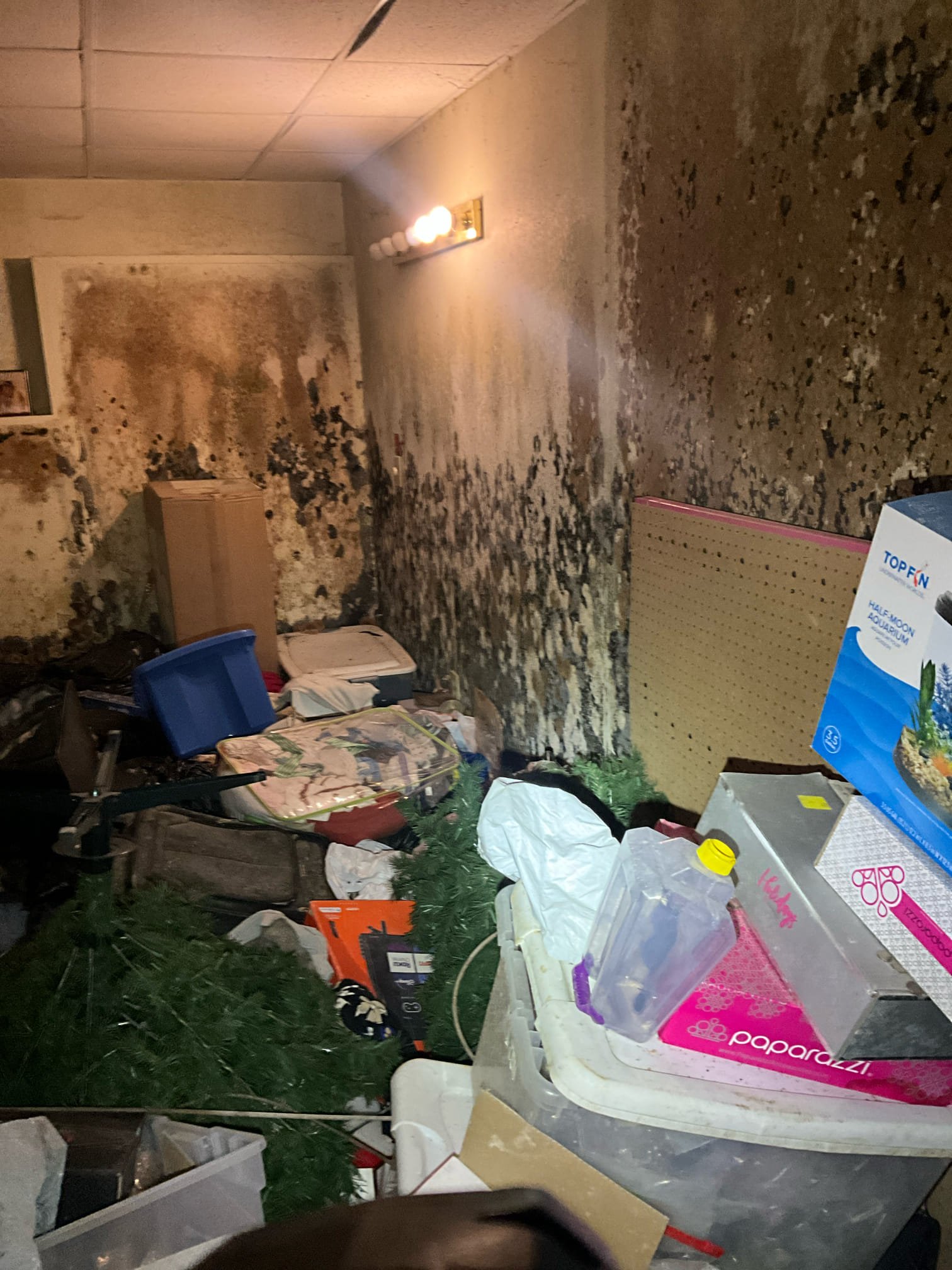 Customer has a water leak from a pressurized source that has flooded the basement for months. There is wet carpet throughout the whole basement and several inches of standing water. Excessive mold present in home. Leak can’t be confidently or safely diagnosed until the area is cleared and mold is removed. 