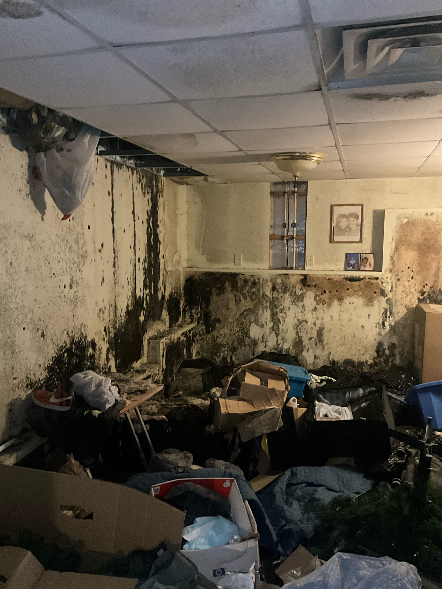 Customer has a water leak from a pressurized source that has flooded the basement for months. There is wet carpet throughout the whole basement and several inches of standing water. Excessive mold present in home. Leak can’t be confidently or safely diagnosed until the area is cleared and mold is removed. 