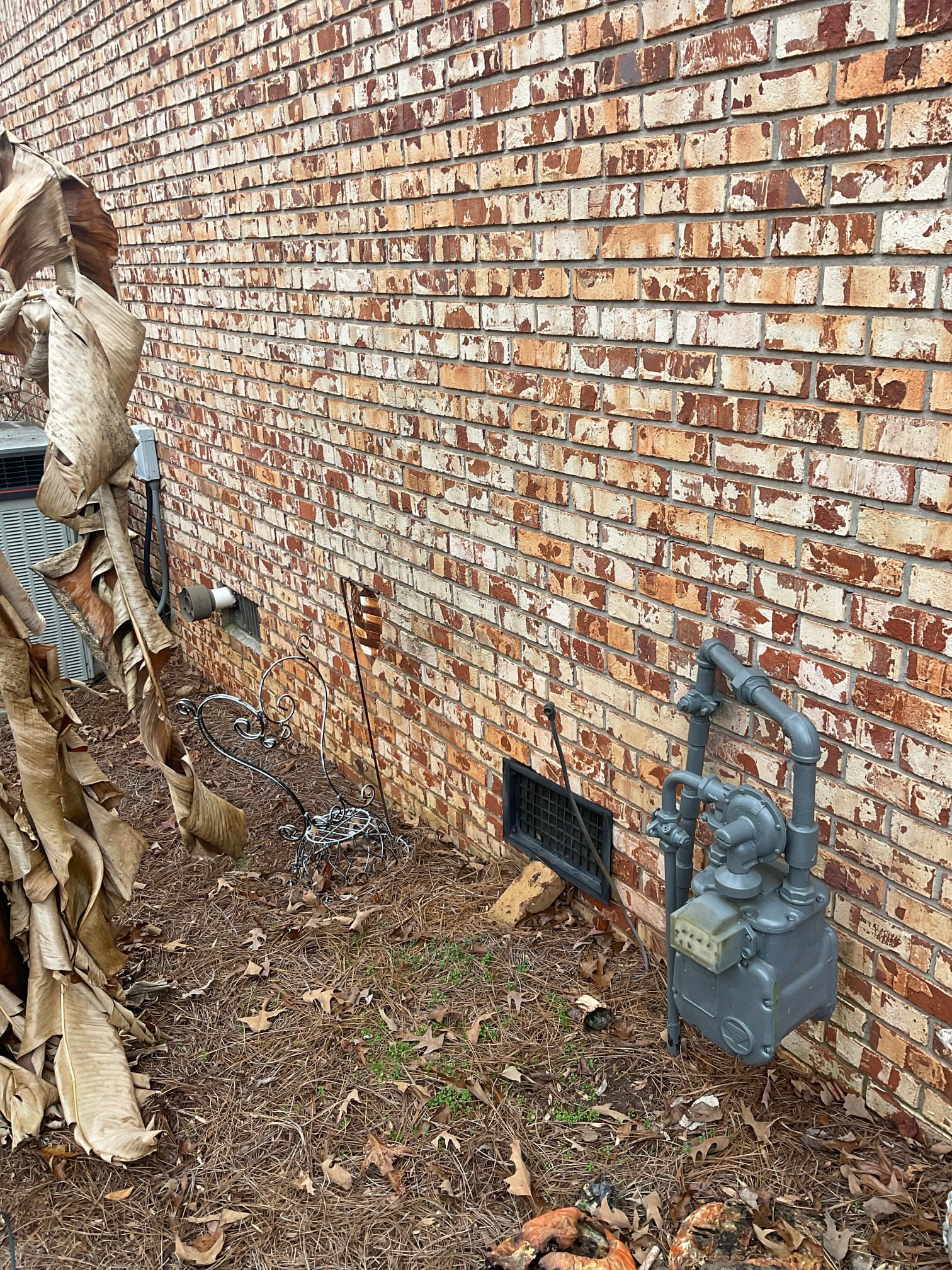 Quoted tankless water  heater replacement today 