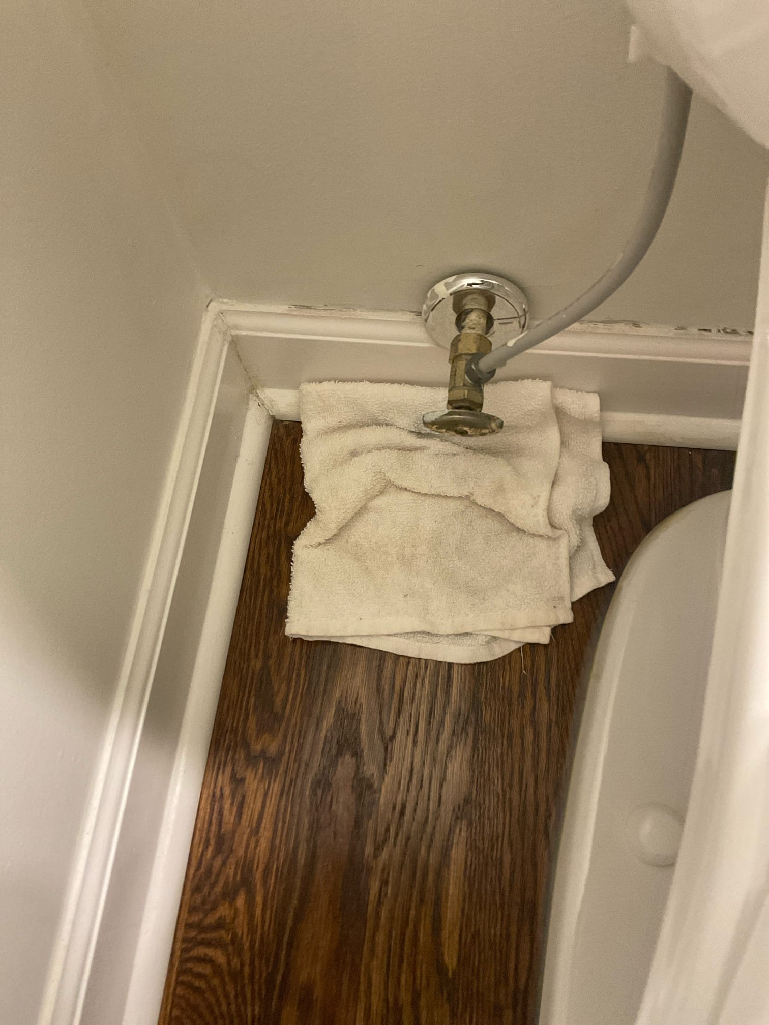 Replaced a water shut off valve and supply line for main floor toilet 