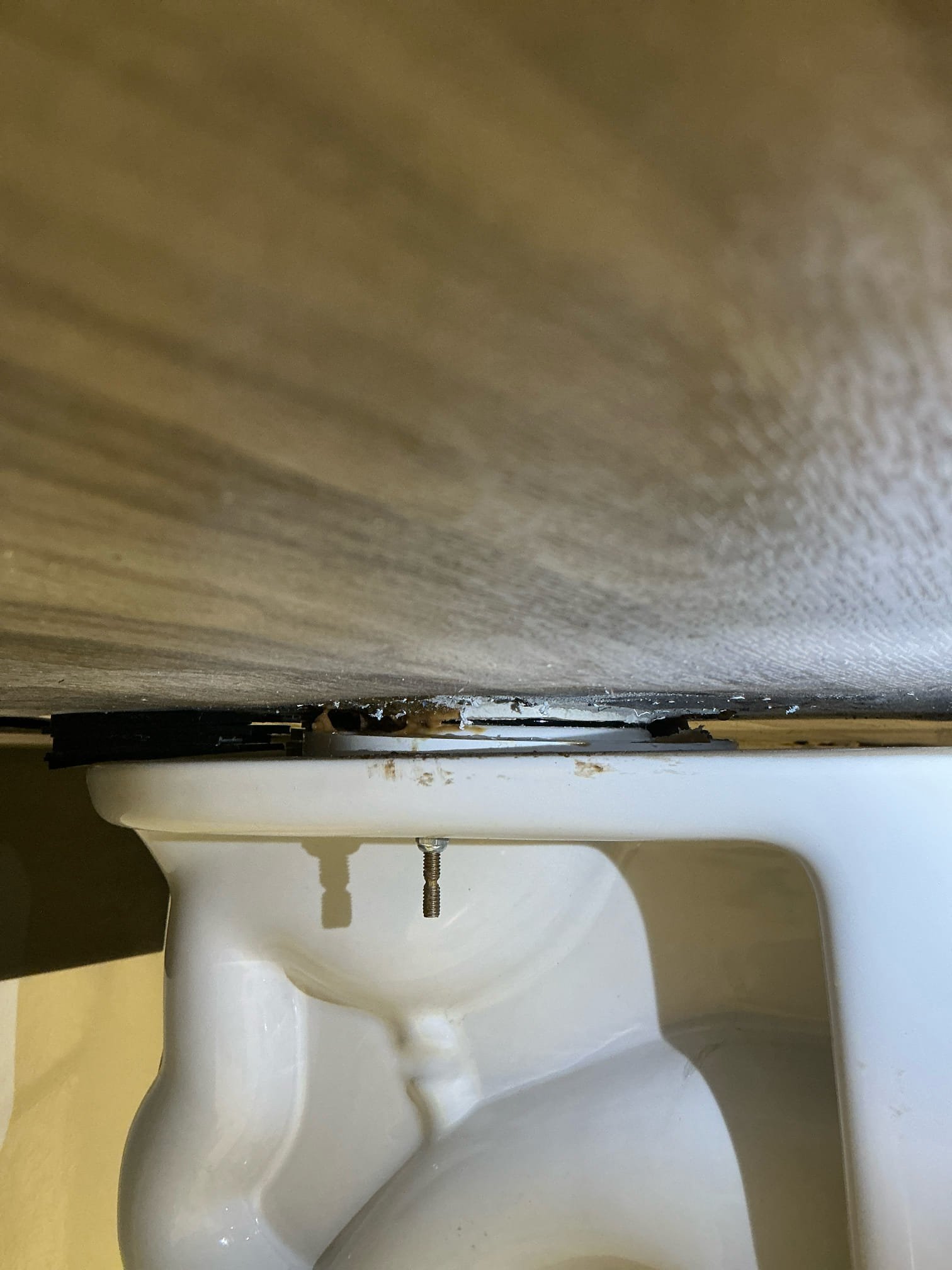 Came out to assess the wobbly toilet in staff bathroom. We did not set the toilet flange, the flooring guys did. The toilet is an inch off the floor on shims all around and the flange is not properly secured or fastened to the concrete. Gave estimate to properly fix. Client will let us know at a later date.
