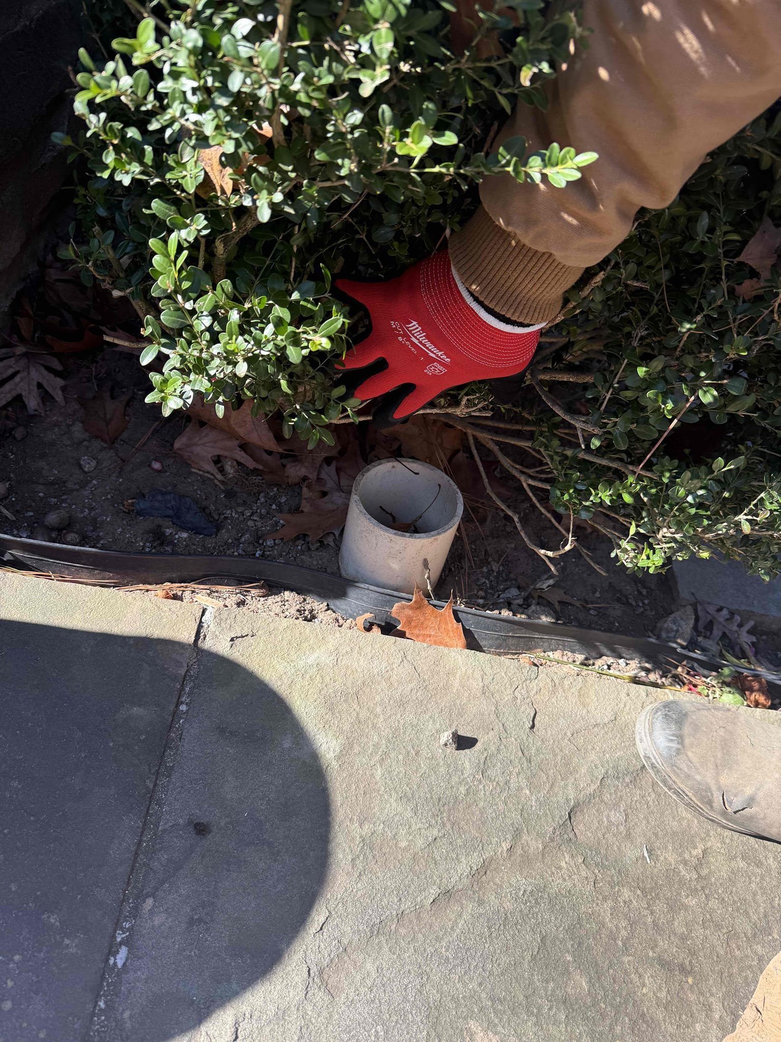 Customer wanting pvc lines cleaned out upon arrival. Customer has wires that were ran through the pvc lines removed. After checking found pvc lines do not drain they make a U shape under the sidewalk, informed customer we could dig down below ground, cut the pvc and glue a cap on each one and cover up. Gave customer estimate customer approved estimate. Dug down on all 8 pvc lines and cut them below grade and glued caps on all of them. Covered the caps back underground. 