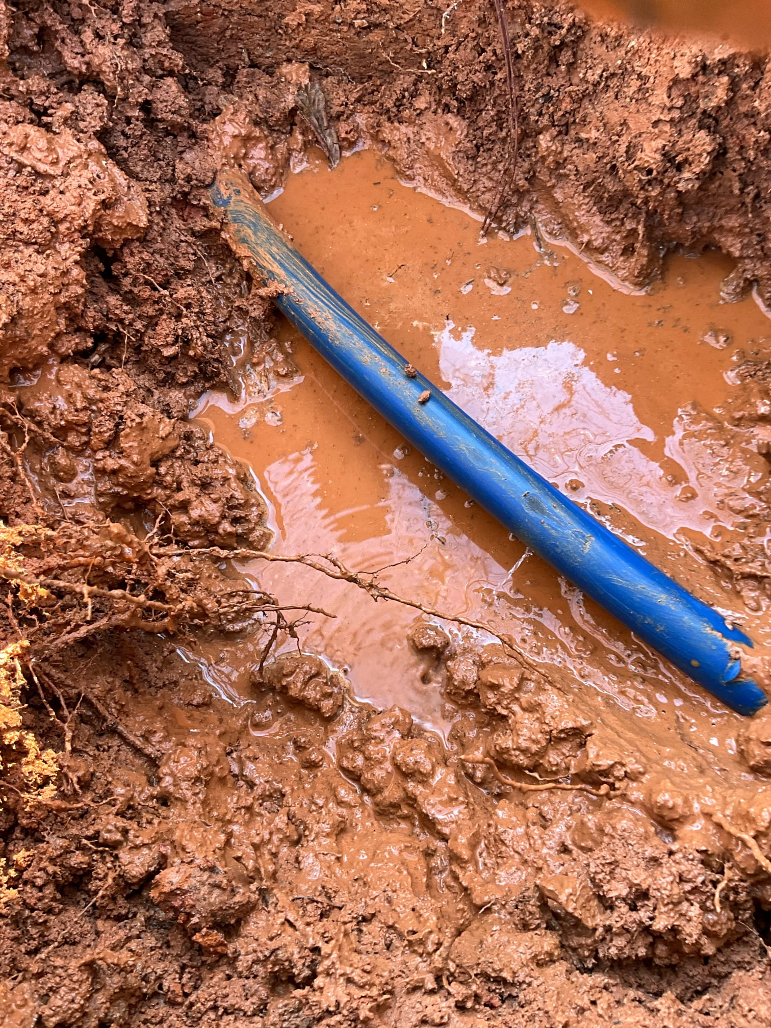  All for water main leak. 

Arrived and found water leaking profusely from ground. Tenant states they were contacted by the water service provider and advised they were losing 800+ gallons. 

Leak is coming up approximately 3 feet from meter.

Dug down and exposed one inch plastic waterline. Leak coming from ~1/2 inch crack in line. We found significant amounts of rocks, which may have contributed to damage. No other verifiable causes of damage found. This leak was not affected in any way by tenant use, but is likely defective material or installation caused.

Now that leak has been repaired I recommend the tenant contact the water service provider for a bill adjustment.

