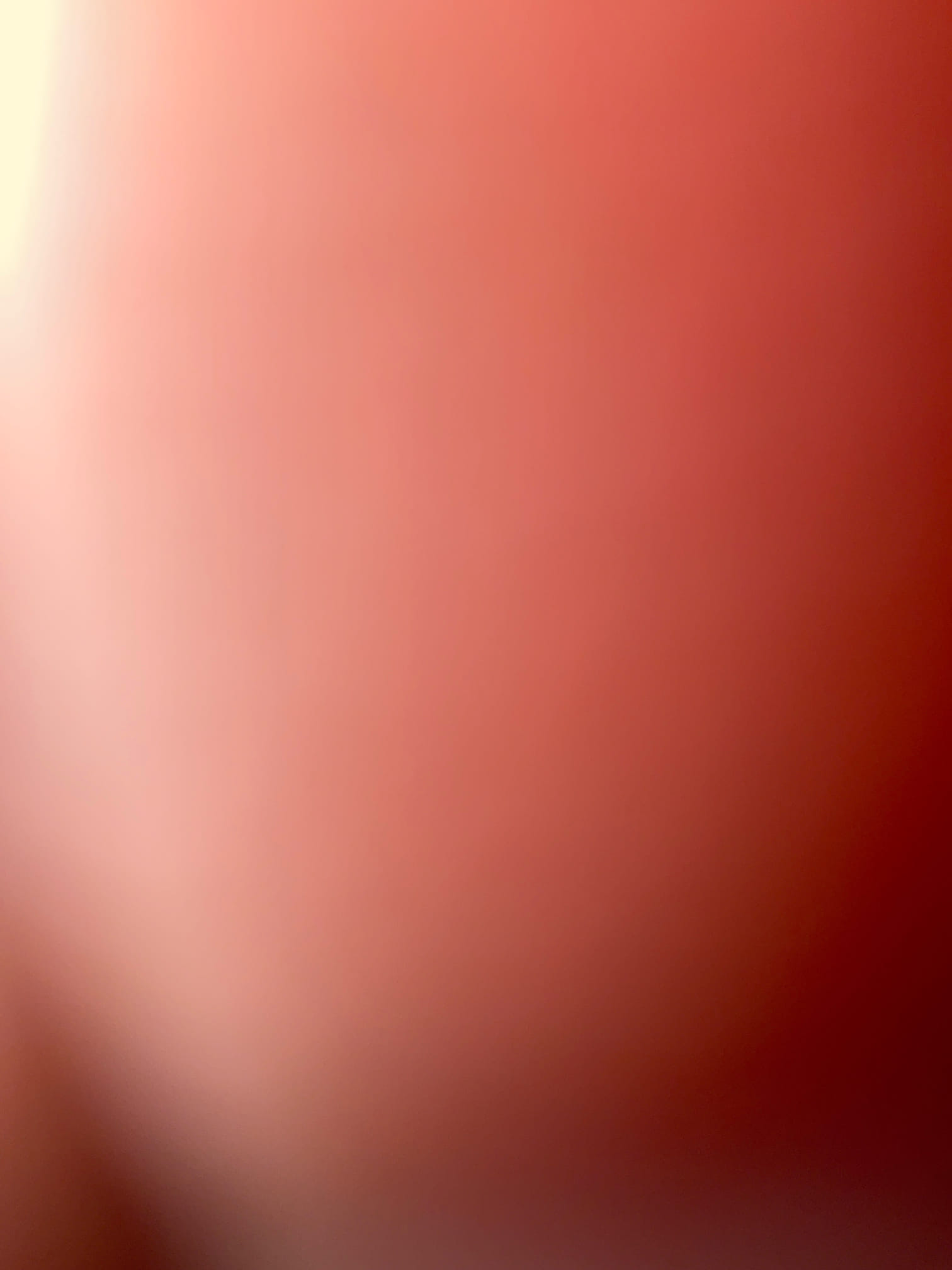 Quoted two options to fix washing machine back up issue today 