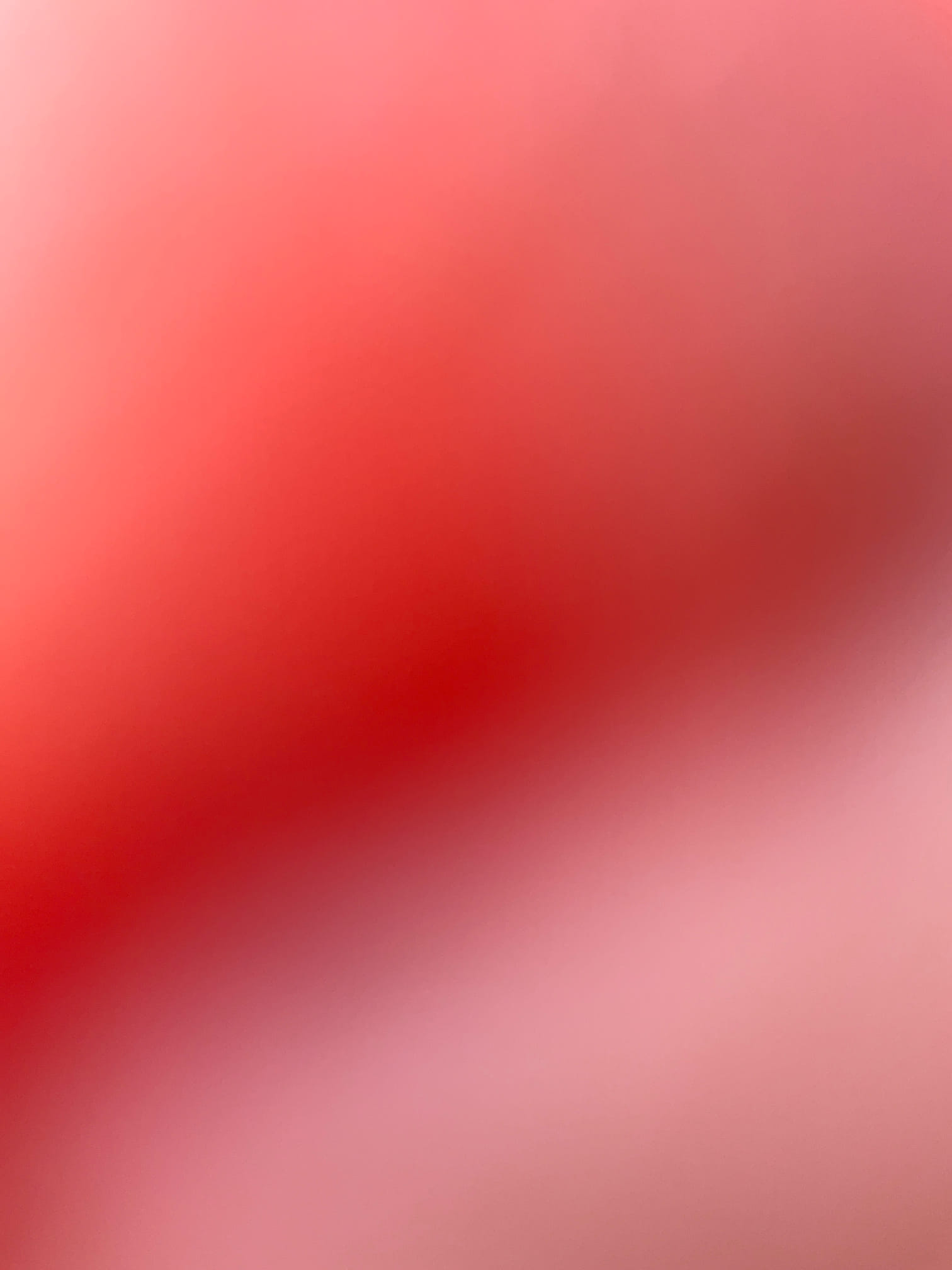 Quoted main sewer line clear and camera work today , customer declined work 