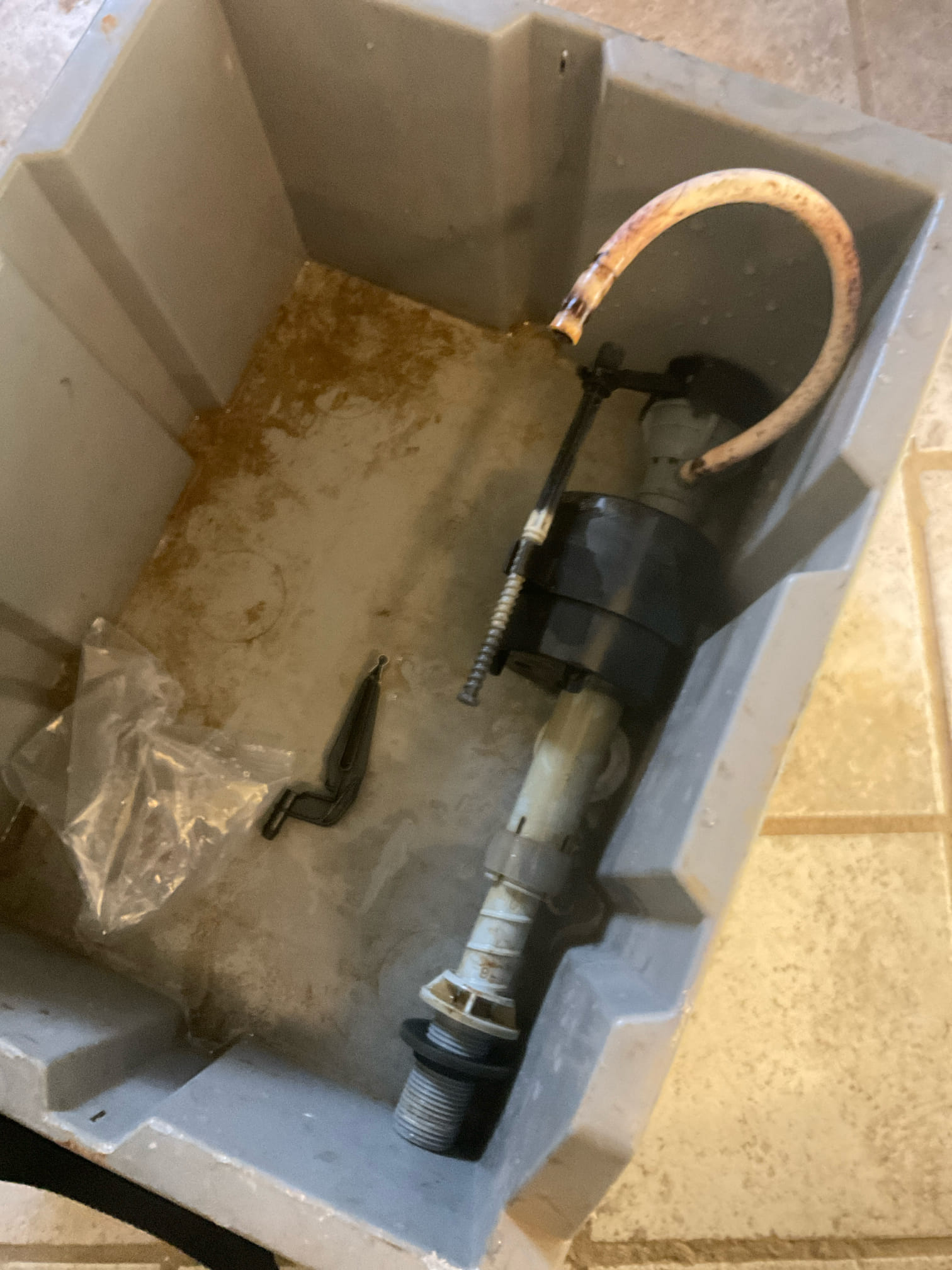 Replaced a old toilet tank fill valve as courtesy , no charge 