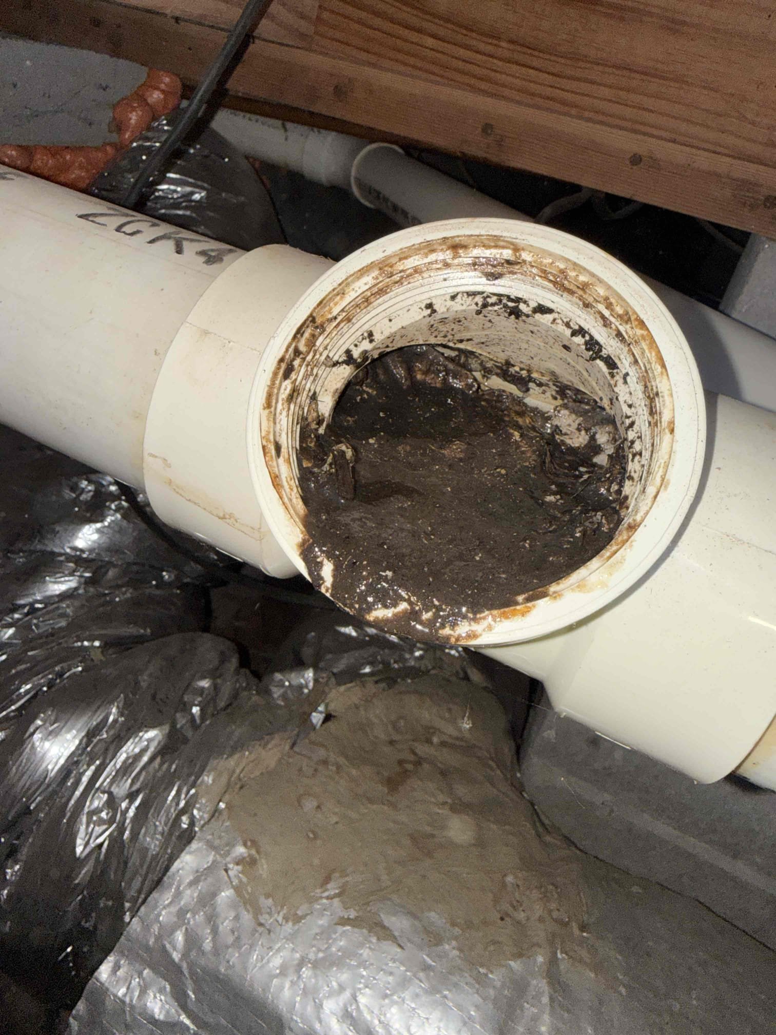 Returned for kitchen sink being stopped up again. Informed customer we could jet it this time to clear out all the grease. Gave customer estimate. Customer approved estimate. Ran jetter from roof to clean out in the yard. Cleared a bunch of grease from the line. Filled up both sides of the sink, the sink is now draining properly and no longer backing up. Drains are working properly upon departure 