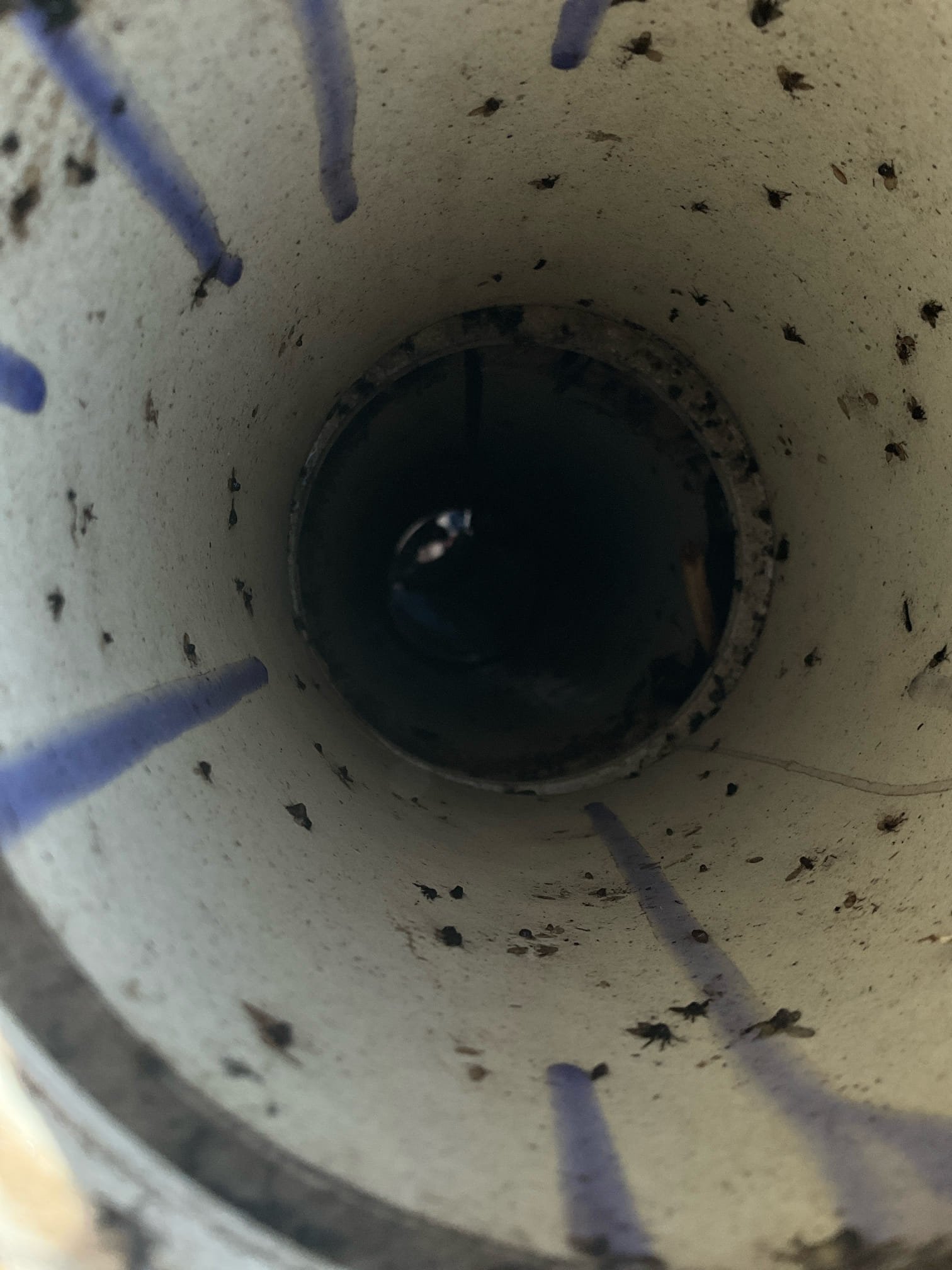 Used sewer machine to clear soft tissue blockage in mainline. Access via clean out outside.