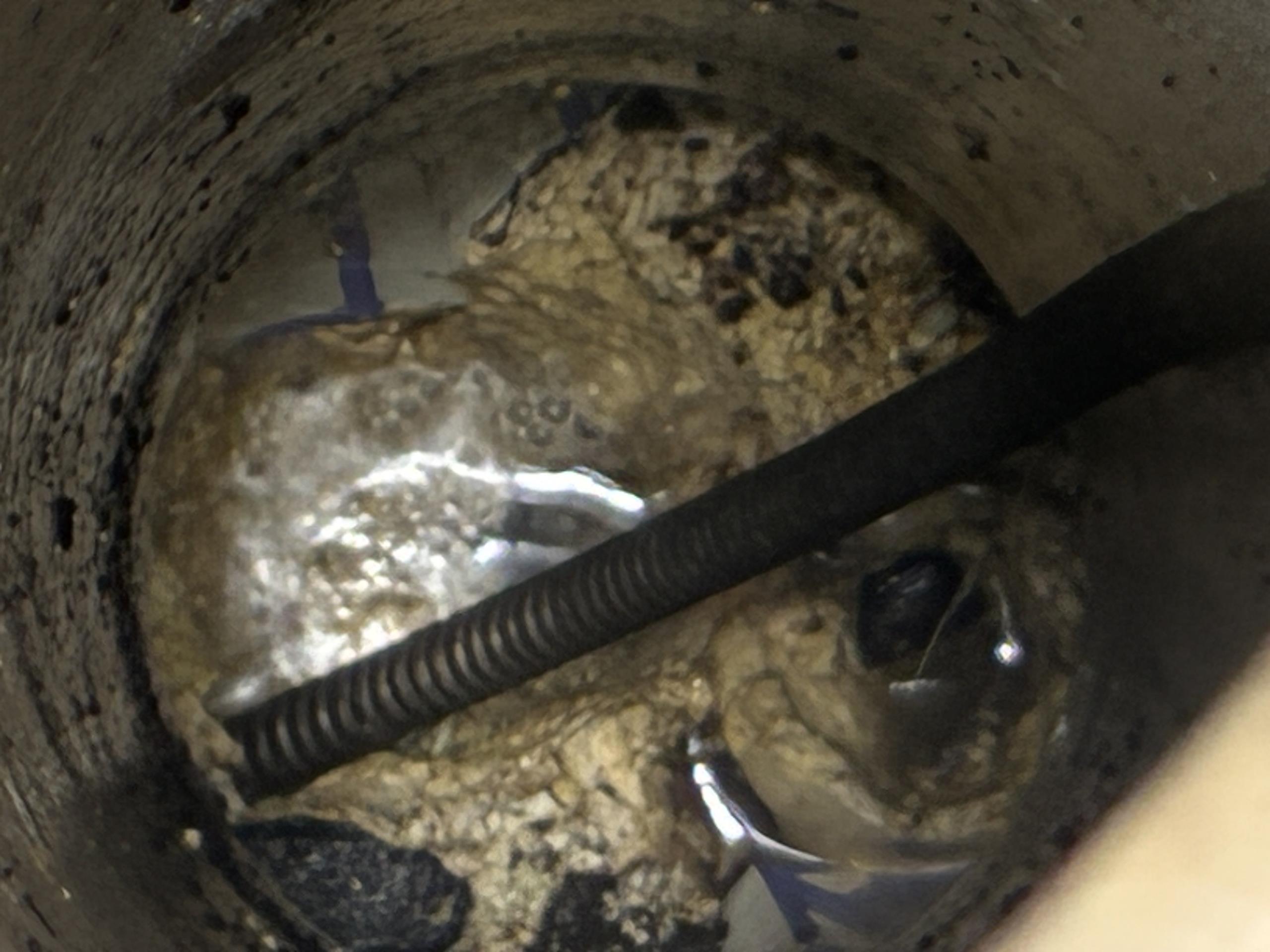 Used sewer machine to clear soft tissue blockage in mainline. Access via clean out outside.