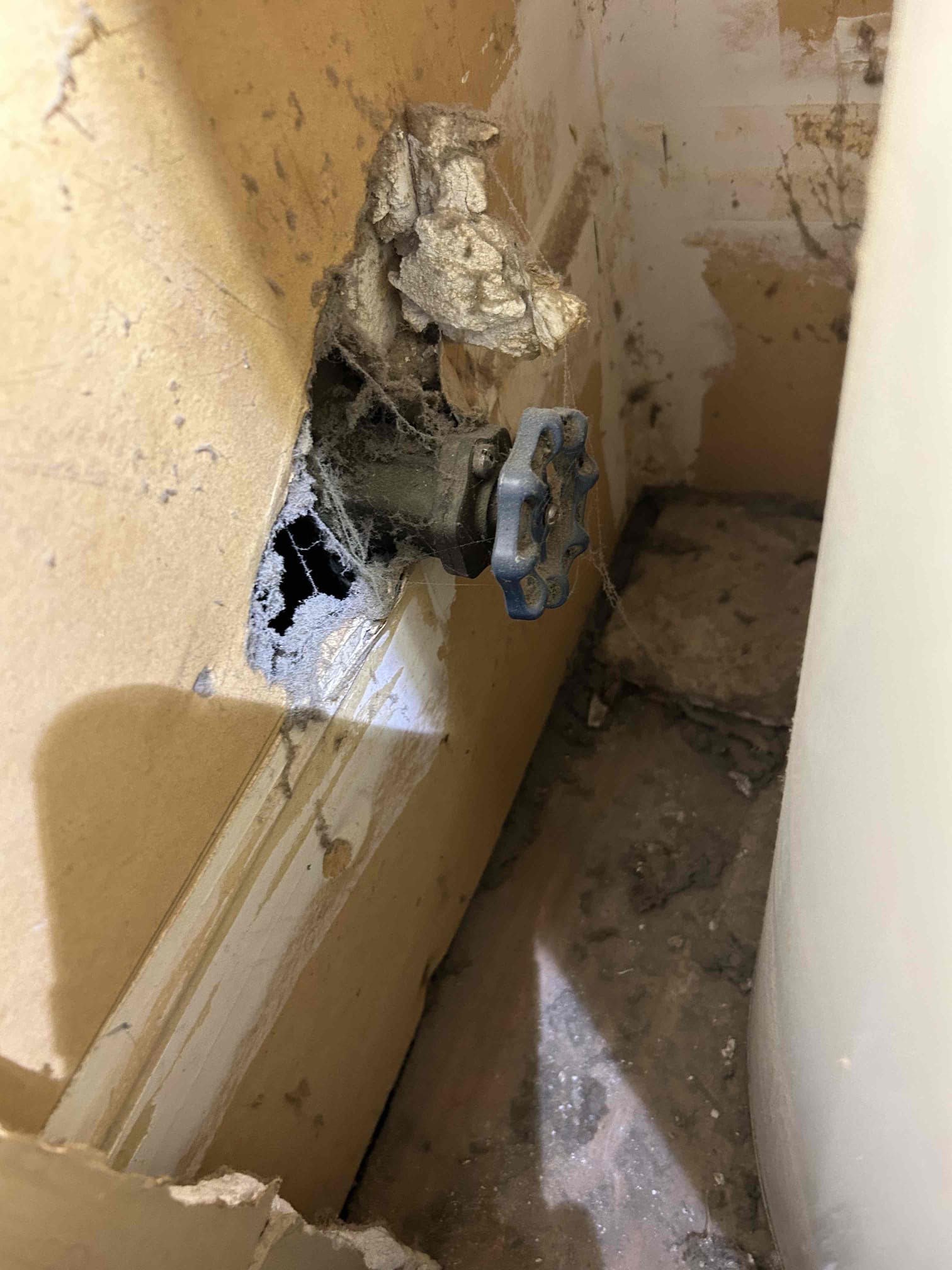 This job CUSTOMER called us out to take a look at a possible clogged toilet and or clogged mainline. He didn’t have a clean out outside, but he did have a sewer lid that connects all the drains in the community nearby. I had him run water and flush out everything And everything drained all out doesn’t appear to be clogged in anyway the toilets flush fine and so does the shower ran water for a good 1015 minutes to ultimately determined that the line is clear and nothing needs to be action on as of right now the customer also wanted us to take a look at the shower to see if they want to convert it and or replace and rebuild the shower, stems or replace it altogether and they are ultimately waiting to see what they want to do for that as for the drain I believe it is perfectly fine with no issues, but gave different recommendations of what we can do I couldn’t check water pressure because the hose bib didn’t work in the water heater is too old for me to check it CUSTOMER is wanting to wai