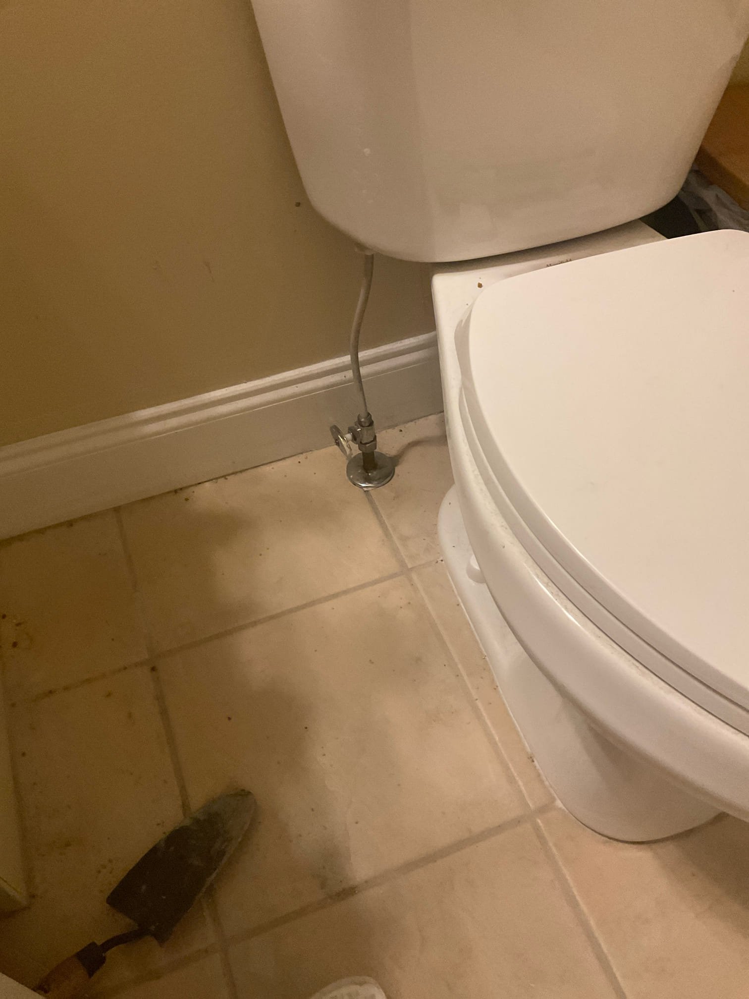 Replaced a poly toilet supply line with flexible braided hose 