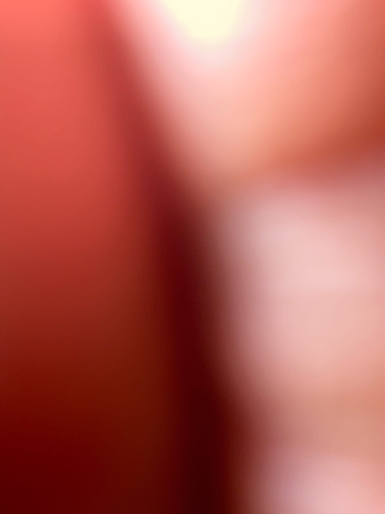 Quoted replacement water heater to tankless 