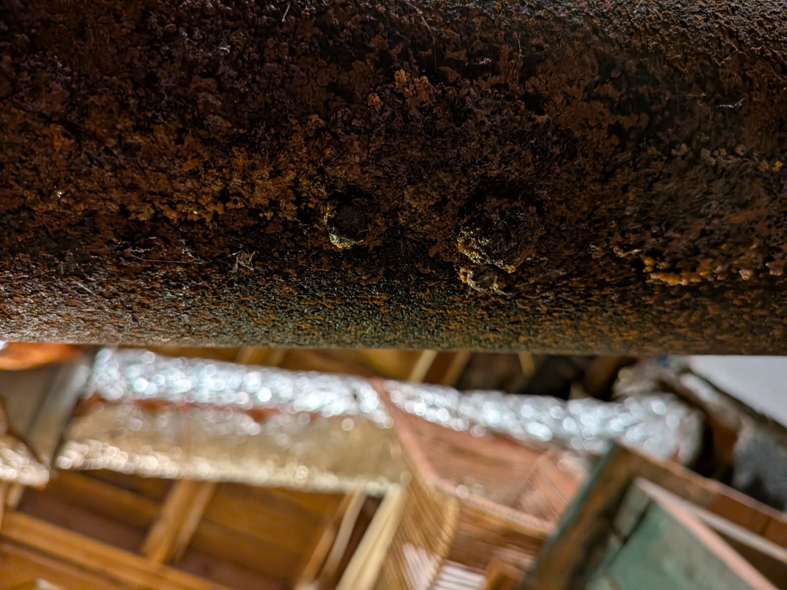 Customer has small leak on 4 inch cast-iron drain in basement area. Gave options for partial and full drain line replacement. Customer wants to talk over decision with spouse and will give answer later.  