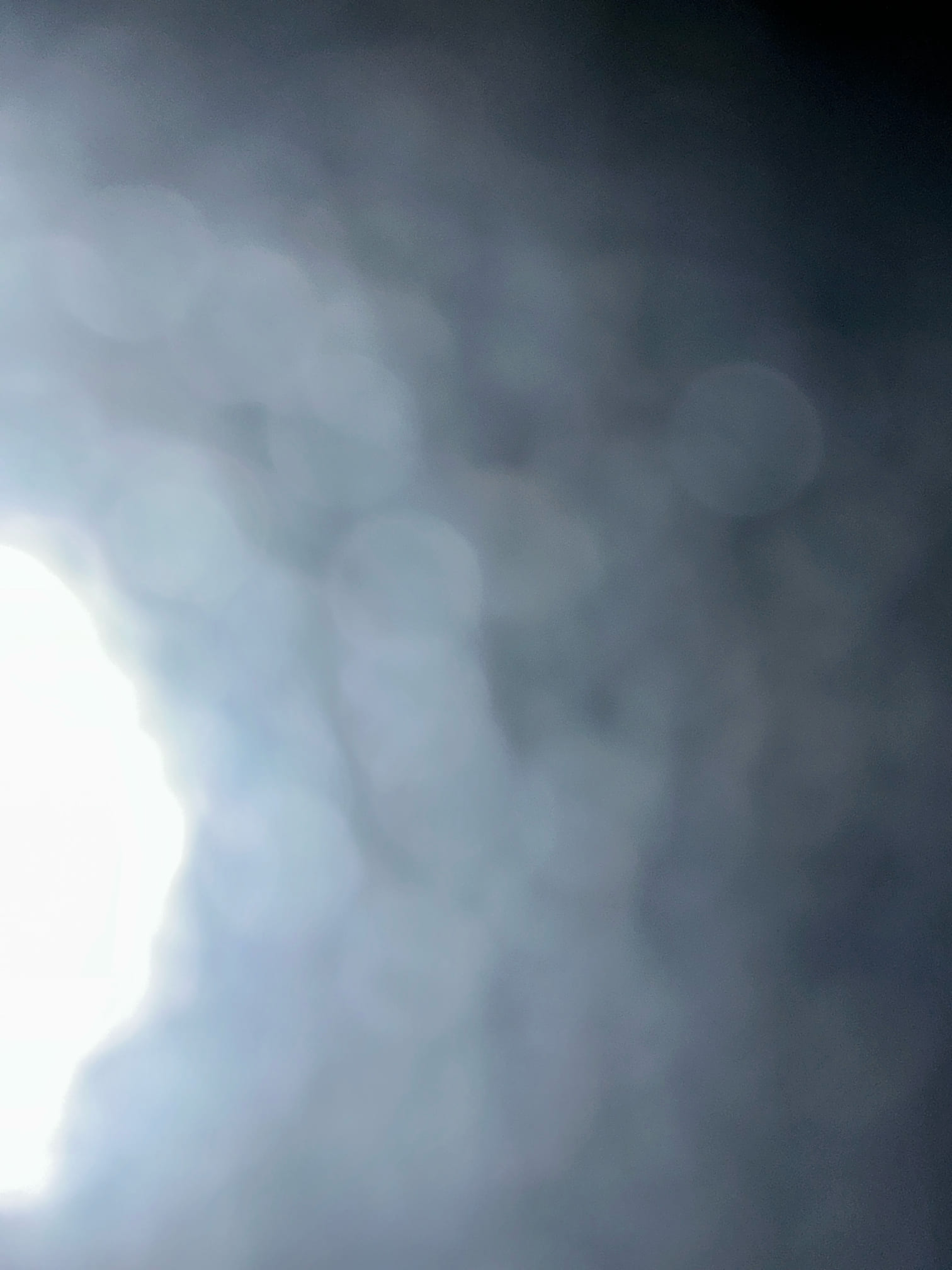 Client called us out due to their cast iron toilet flange in main floor half bathroom being broken. Client was attempting to replace it themselves, but it is on cast iron pipe in a slab. Gave estimate of $550 to replace that toilet flange and fastened to the concrete, and setting the toilet back client had already pulled up. They declined to move forward. 

Collected SF. 