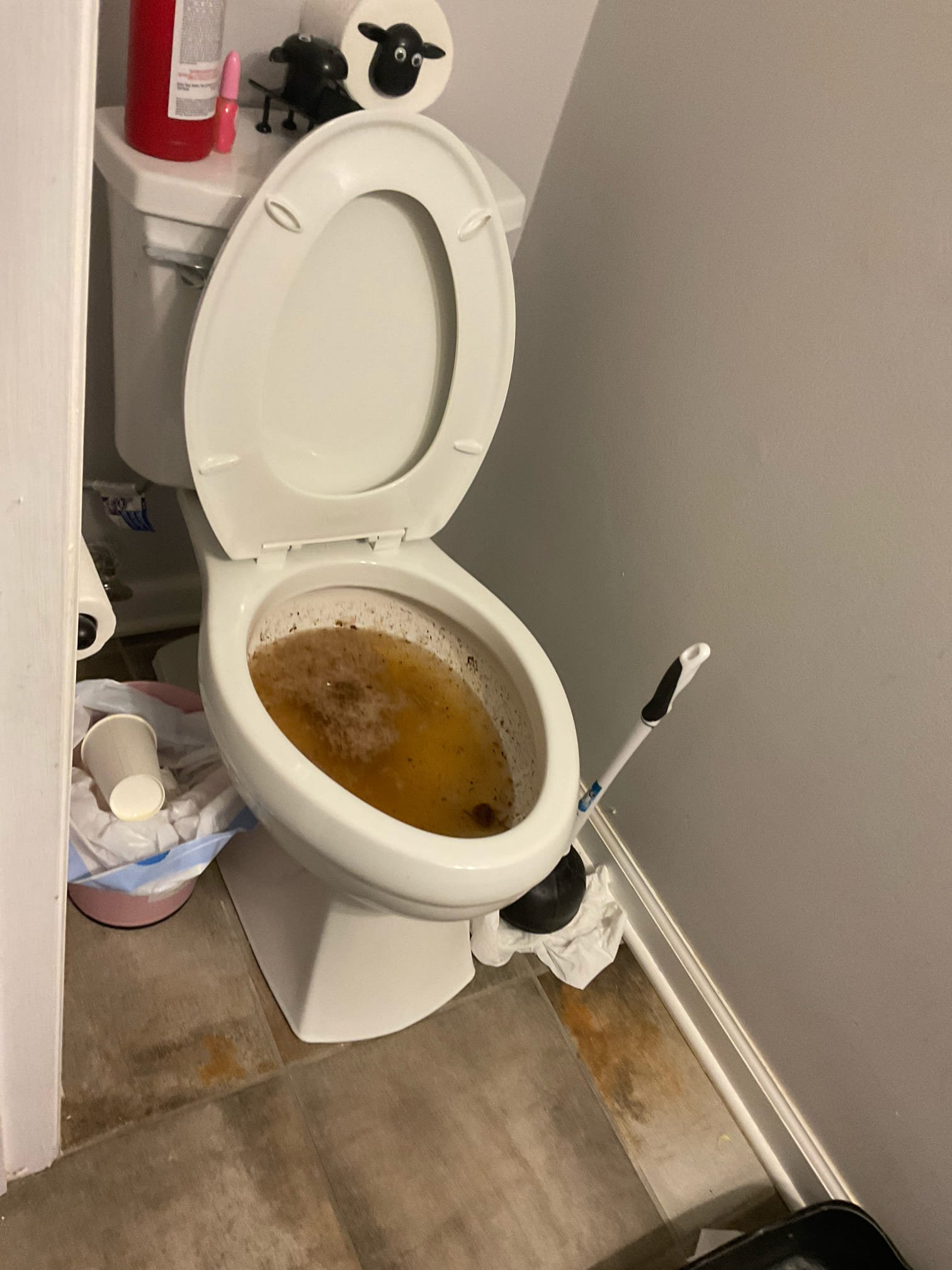 Auger snaked a toilet , cleared. 
