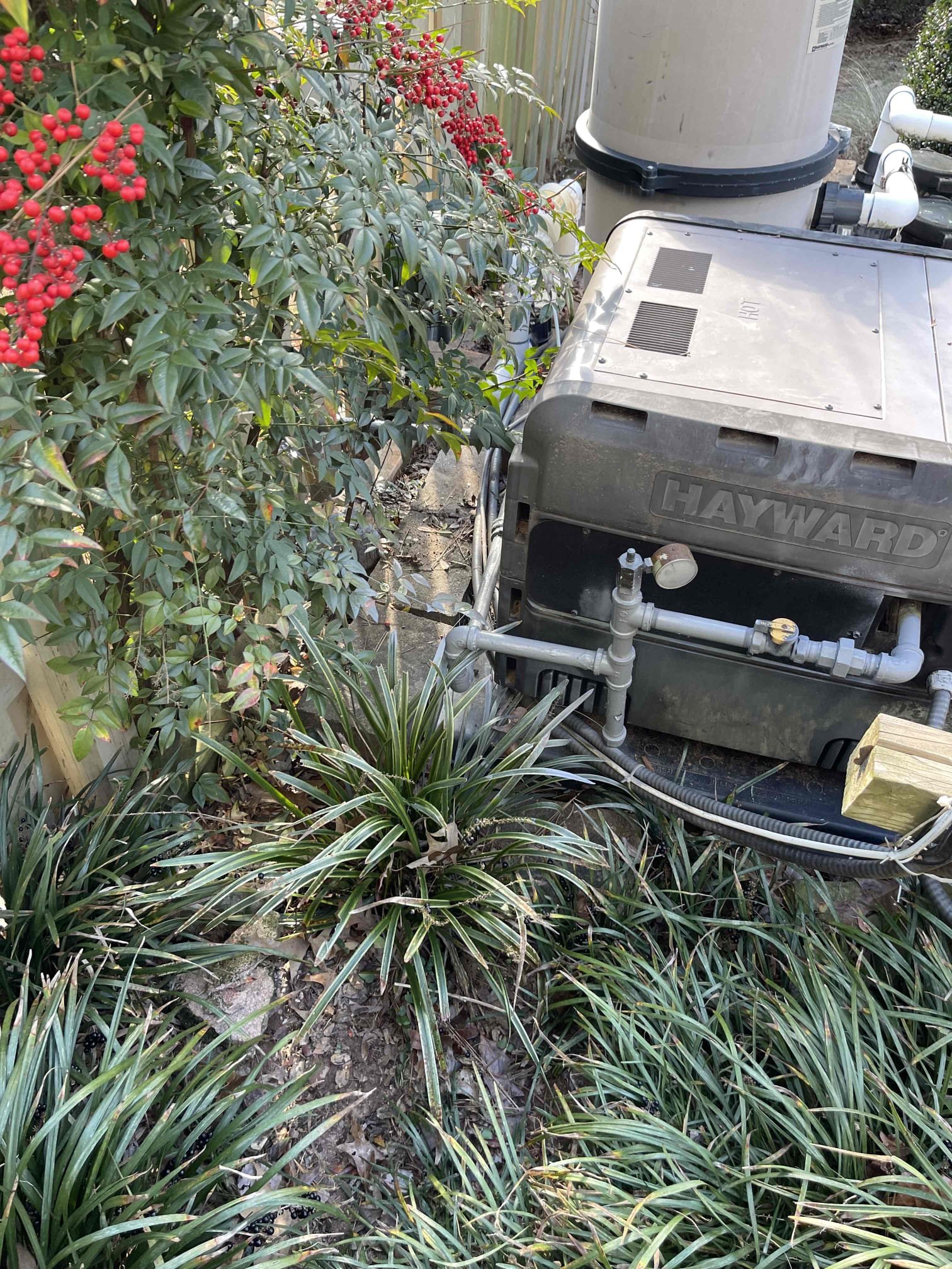 Returning tomorrow to run new gas poly service line to the pool heater.