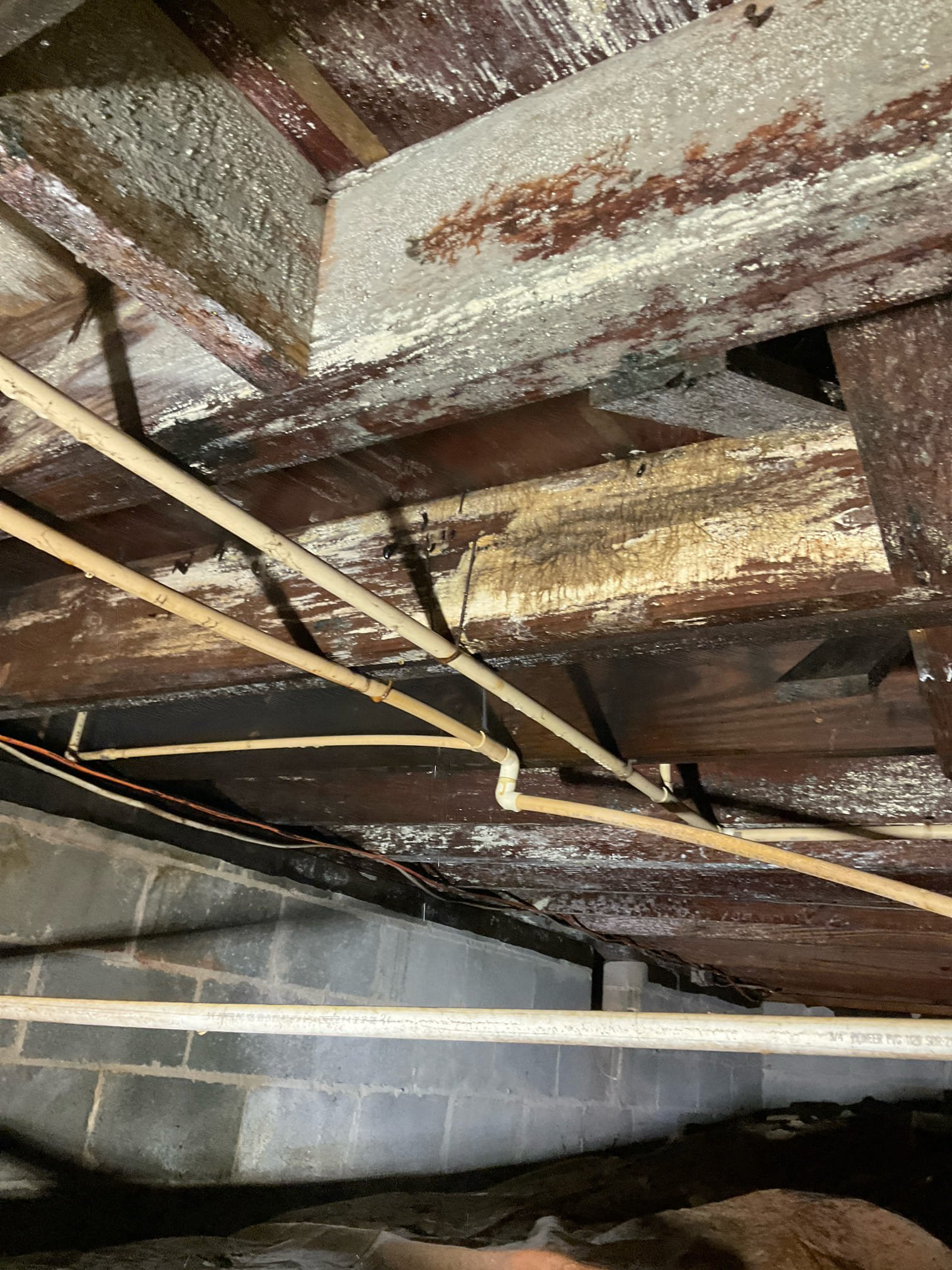 Quoted repipe and new water heater jobs today 
Fixed what is leaking at CPVC pipe where busted under the kitchen in crawl space 