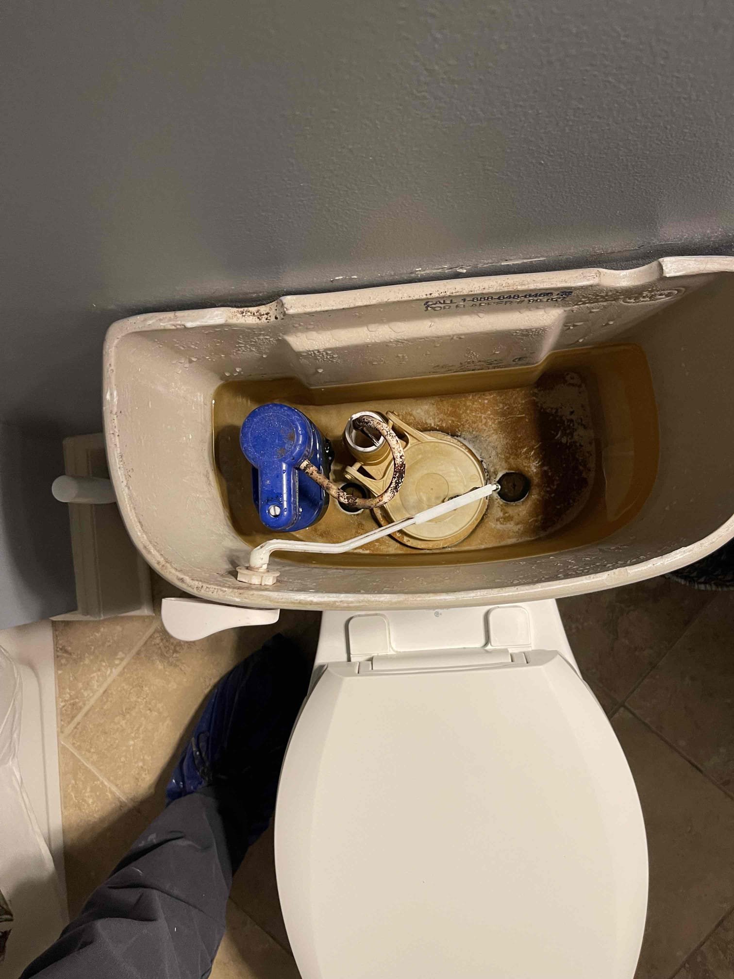 Came out for toilet making a weird noise. Found the stop valve was worn out and wasn’t fully open. Toilet had worn out internals. Customer elected to replace the toilet with an Elongated chair height bowl. We replaced the stop valve and toilet. When going to turn the water on I noticed the PRV had a slowly rusty leaking coming out of the top stem and bell. Customer elected to replace this as well. Installed new 1” Watts 25 AUB PRV. Adjusted PRV to match original pressure in the house. Left quote for water heaters as they are 12 years old. 