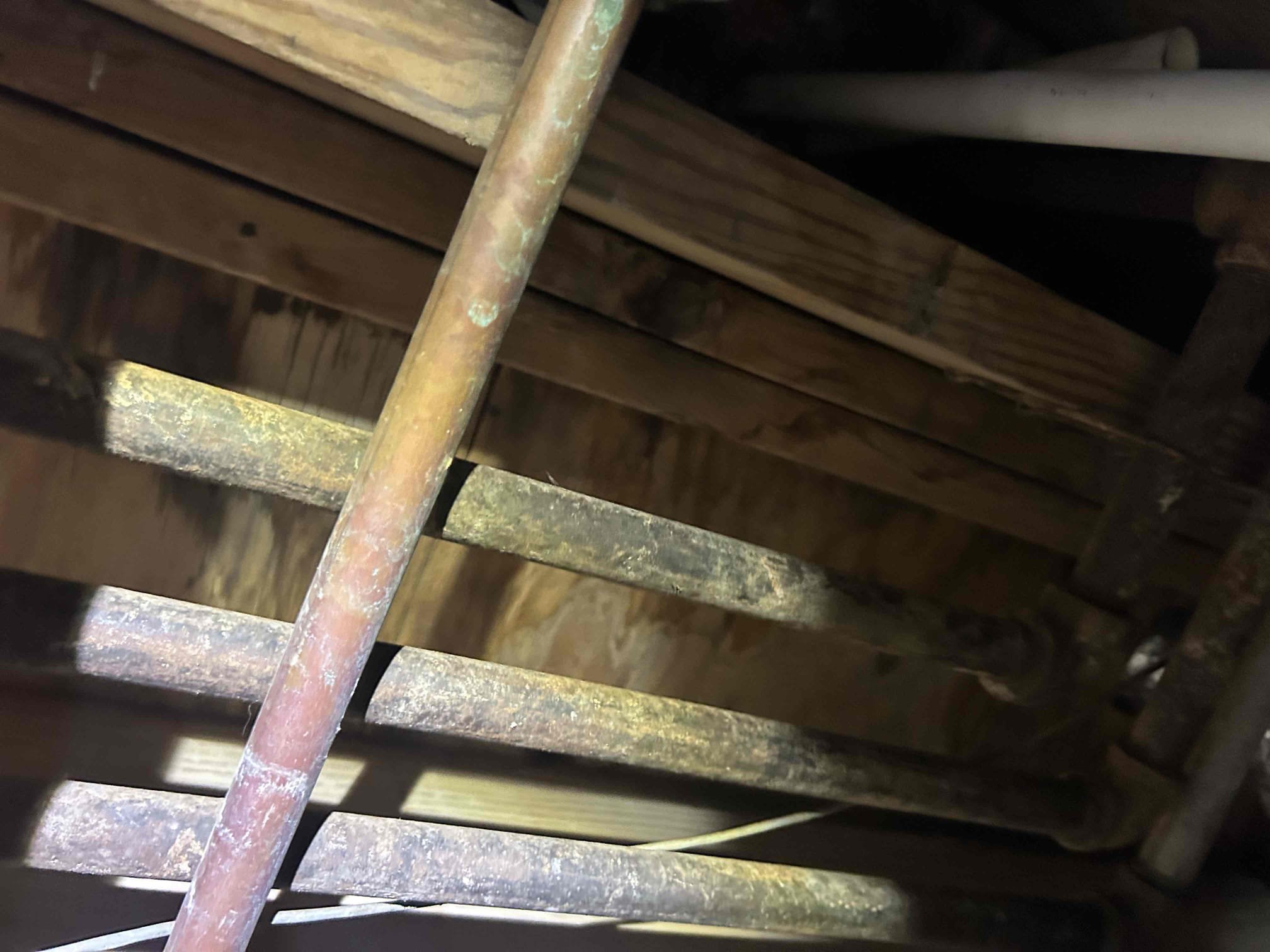 Customer has tenant in unit 1 that had a leaking hot stop for washing machine box. Noted that the box is installed over an electrical outlet and appears to not have enough space for the vertical for the trap. Couldn’t recommend any repairs with the current placement of the box. Left price to run box and it’s new plumbing behind the washing machine. Tightened the packing nuts on the valves as a courtesy, and temporary stop gap measure. 