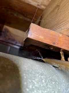 Busted pipe upon arrival. Customer stated the water is running constantly. After going in house found a half inch copper line cut and constantly spraying at full pressure, since there is no shutoff for this individual unit informed customer we could cut the line live and install a new ball valve. Gave customer estimate, customer approved estimate. Installed new half inch ball valve and shut it off to stop the leak. Also shutoff water heater because it was leaking as well. The leak is now stopped but the house is under 2 inches of water across the floor. There is also no heat or electricity in the house so more leaks may come if the temperature gets low enough. 