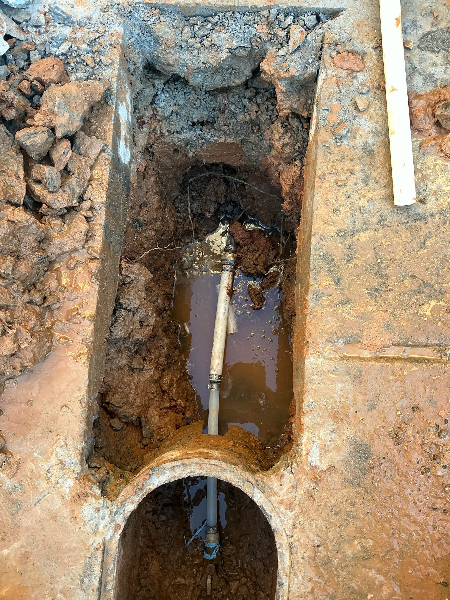 Return tomorrow morning to continue job. 