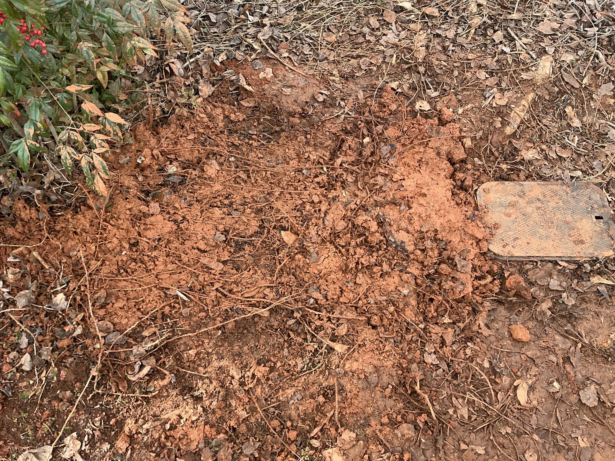 Water line leak in the yard upon arrival. Customer stated he noticed water pooling up by the meter. After digging found 3/4 split at a coupling. Informed customer we could repair the broken section of pipe. Gave customer estimate, customer approved estimate. Cut out bad section of pipe and replaced it with new pvc. Turned water on to check for leaks and found none. No leaks upon departure.