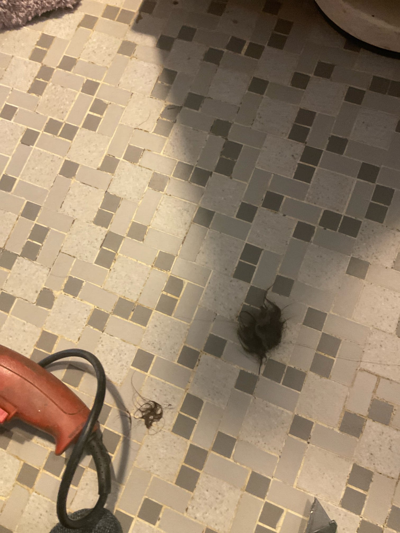 Replaced a toilet for master bathroom with a Kohler intrepid elongated ADA , snaked hall bath shower drain , fixed a broken flange with a spanner flange 