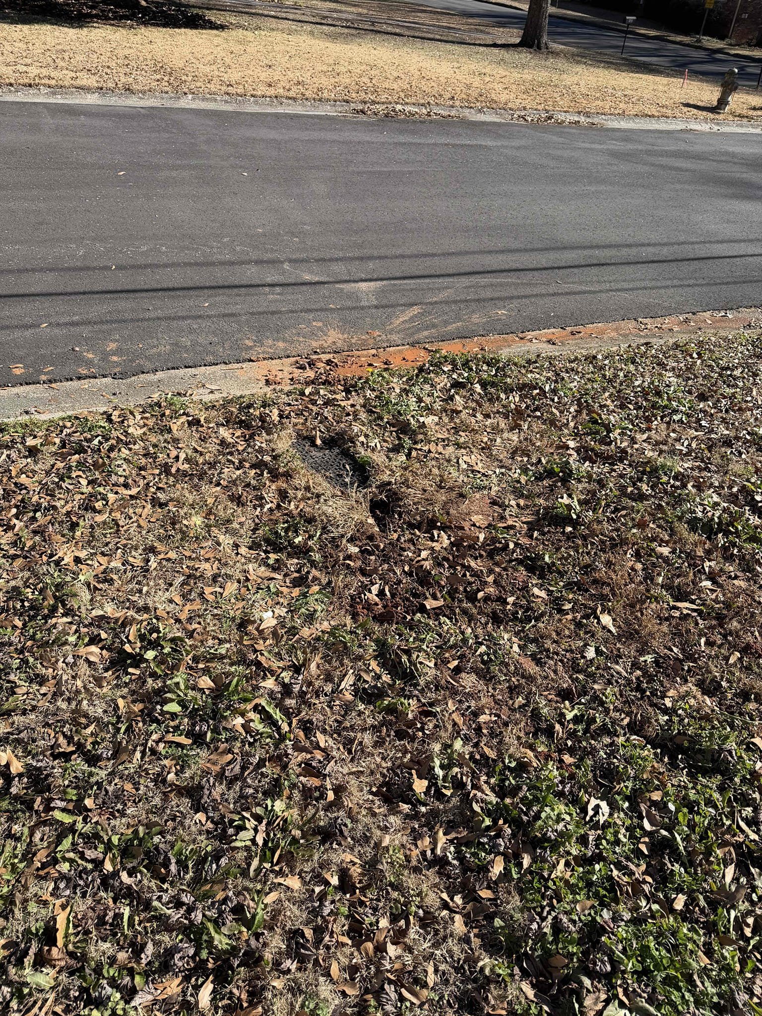 Dig up by meter and make repair on water line.

Customer stated there was leak by meter. Gave customer quote to dig up by meter and make repair. Customer agreed so we went ahead and dug up at meter. Found shark bite fitting and black iron nipple leaking. Cut out section of bad pipe and replaced with pex. Tested and no leaks present at this time. Covered back soil and cleaned up work area. 