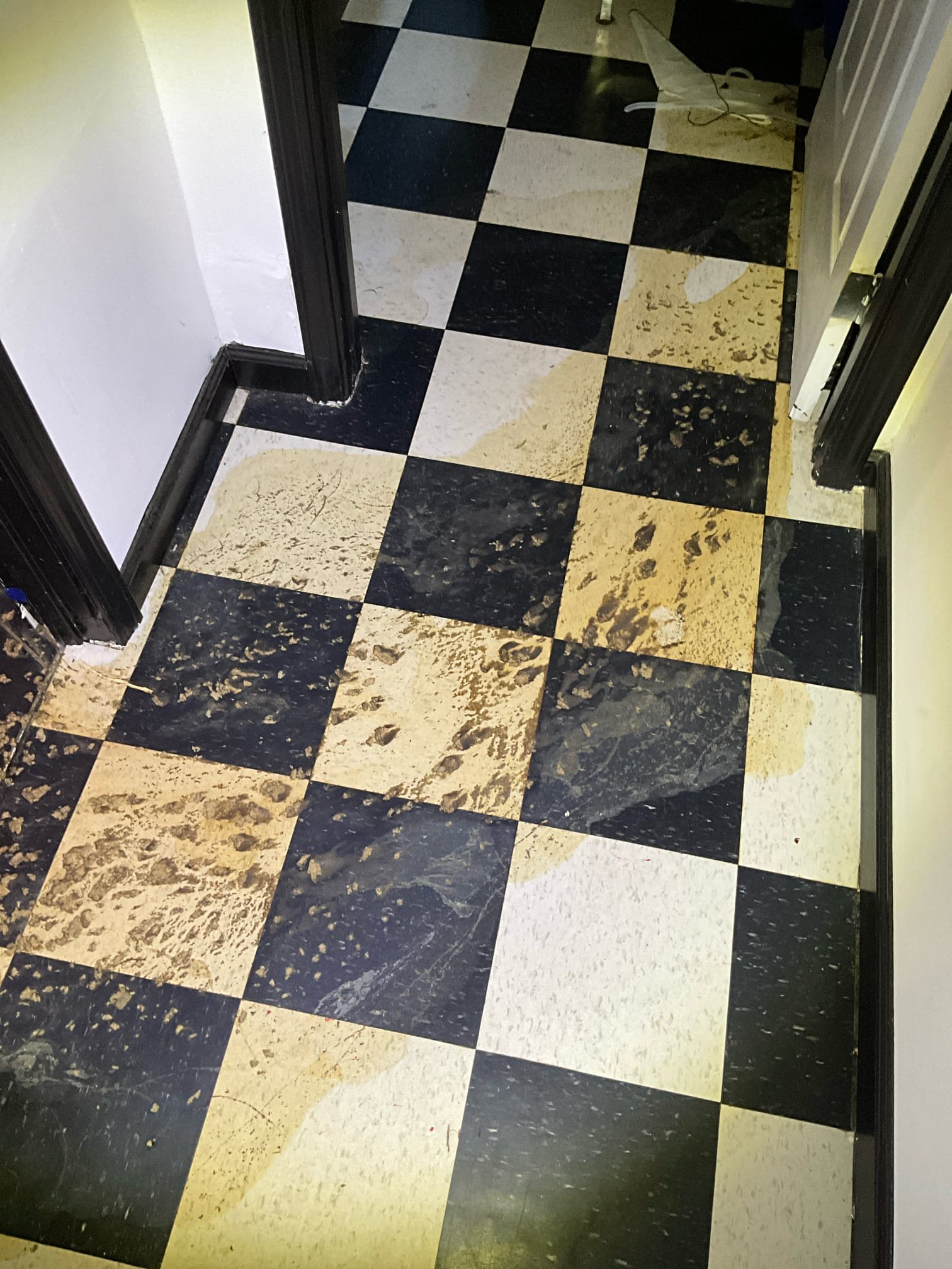 Customer had a stoppage in the main line from what appears to be a soft tissue stoppage. Toilet overflowed and flooded sewage into the basement and under the walls into the garage. Informed customer our first step would be to pull the toilet and determine next steps based on the camera inspection. Depth of work is noted below. Ran camera and pushed through a soft tissue stoppages under the slab in cast iron piping to give temporary relief in the first 50 feet of the line. Ran into more soft tissue further in the line (around 50 feet from the flange in the basement). Priced to dig in yard and access concrete piping because the line is concrete and can’t safely clear that blockage without risking harm to the concrete. Will have to return tomorrow to perform work for signed estimate to access pipe, repair the section, and determine the health and any necessary work on the line past the point of obstruction. Waived quoted work today for camera and pull and reset of toilet. Made customer aw