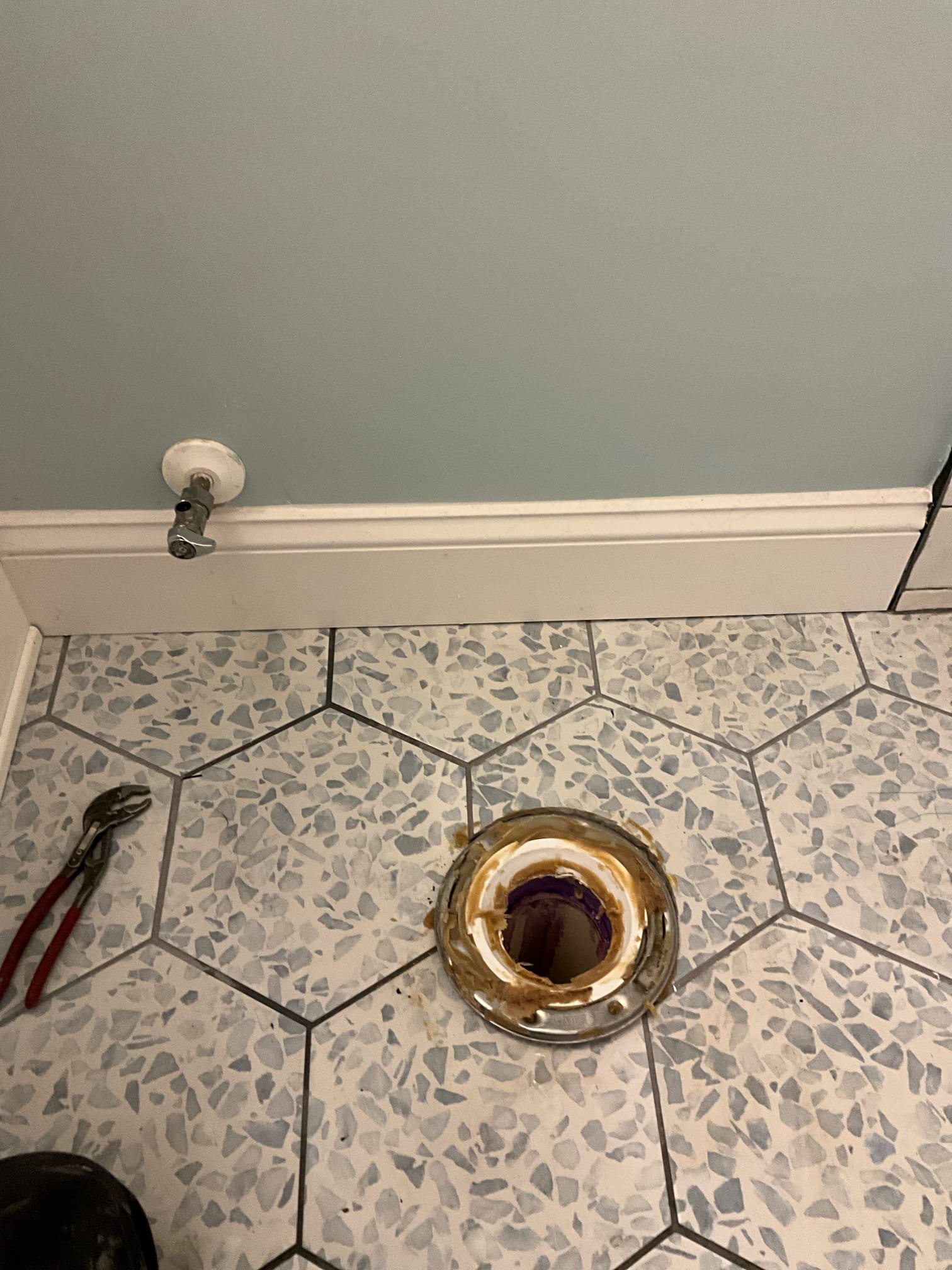 Customer replaced both toilets and hallway. Hauled away old toilet toilets installed to customer supplied Kohler elongated ADA. Noted to customer that one flange was set to low and the other had a pipe that was not glued in the full length of the hub. Both toilets were tested and worked properly informed customer that if there’s any issues with the flange will have to repair or replace.

*doesn’t include repairing or replacing damaged flanged 