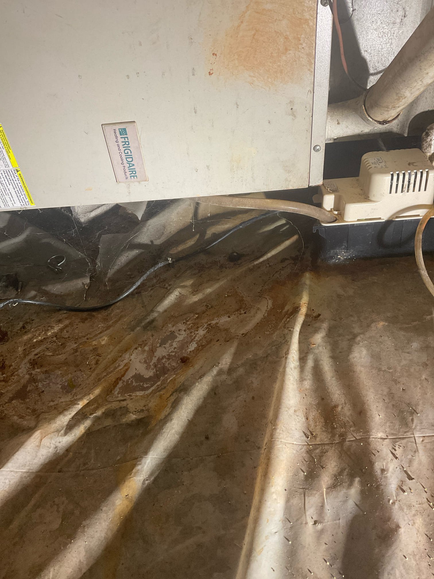 Quoted tankless repair and replacement options today 