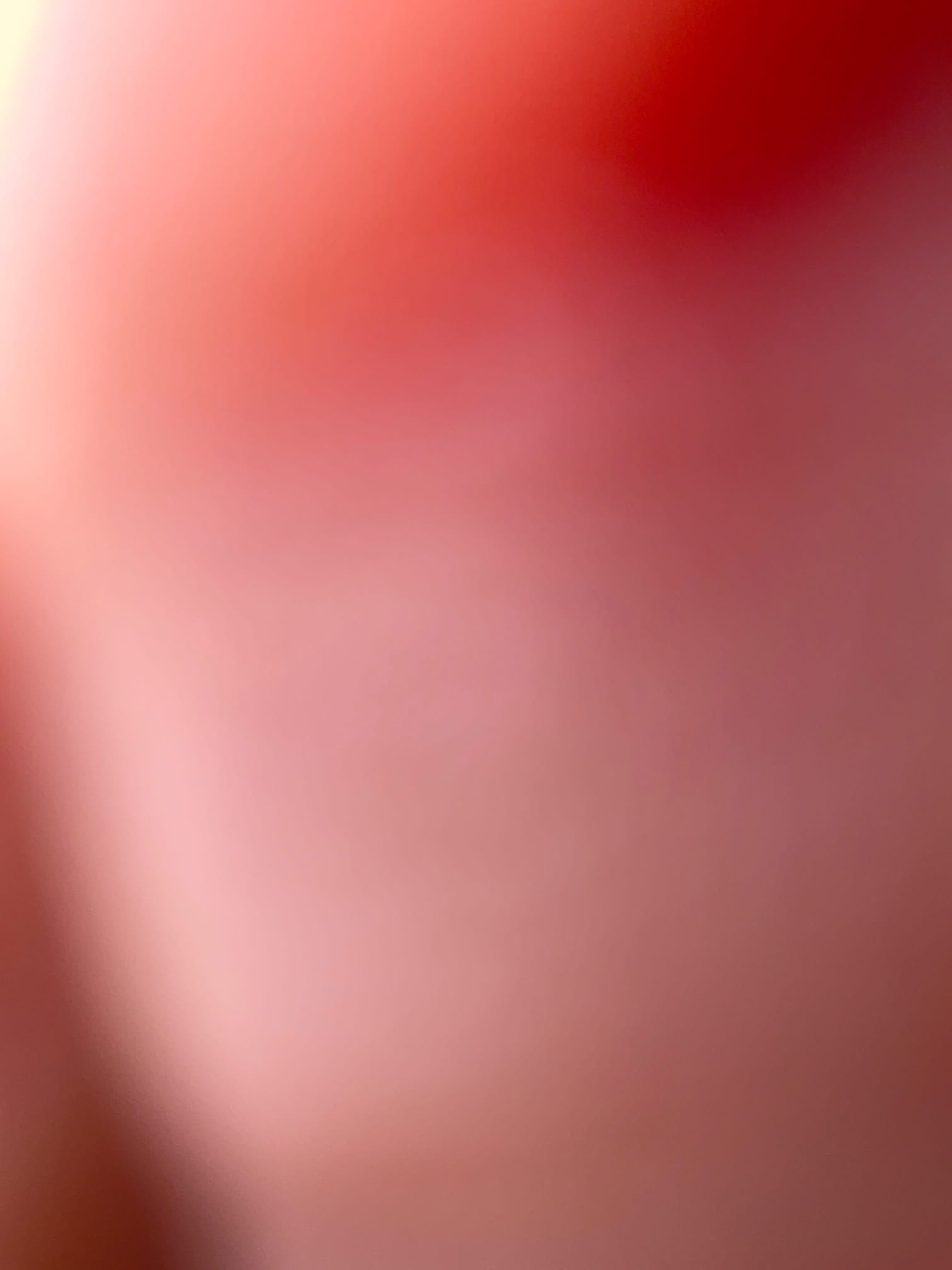 Checked garage ceiling wet , appears to be leak might from shower door area , recommend customer use water restoration company 