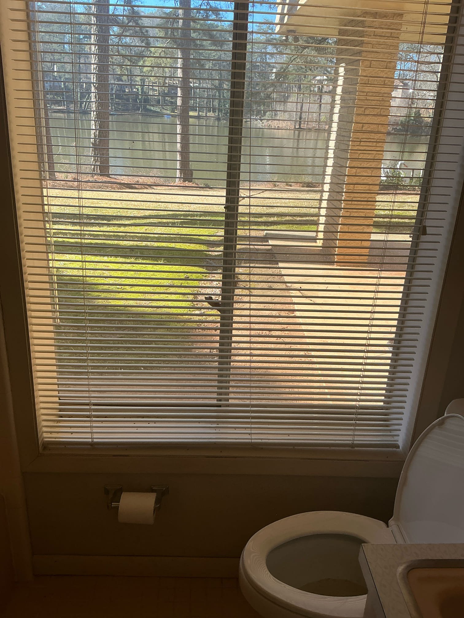 Client called us out today due to them having some backing up issues with their main sewer line outside, backing up into basement bathroom tub and toilet. We pulled toilet and ran camera the entire length of our reel 140’ and got just about right to the city main line running along the back of the properties just in front of the pond. There was a blockage I couldn’t get past at the city tie in and clients portion of the line is still cast iron and had a good bit of scaling in the pipe which was catching paper and would cause a clog. We did find an old clean out in the backyard. We got the jetter and first jetted the line from the toilet out to the clean out outside. Then put jetter in the clean out and towards the main. We had some trouble, but after a minute we were able to get whatever was blocking that line cleared out and we could clearly see where the clients line fed into the main. We removed all the scaling and clients cast iron looks fairly good for the age. No major issues. Vi