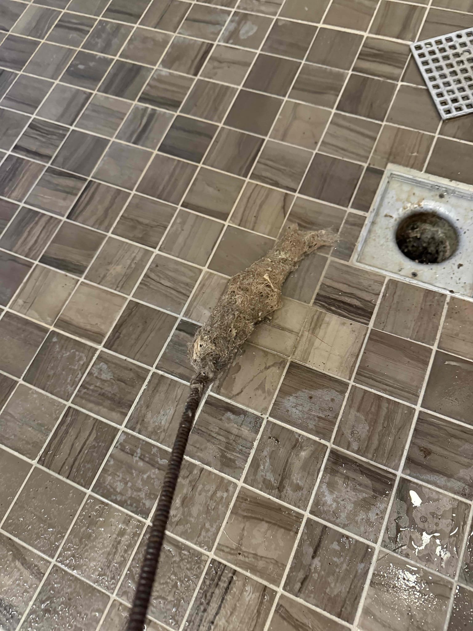 Upstairs rebuild 3 toilets and also rebuild 1 toilet on main floor. Also snake shower drain in master bath.

On main floor rebuilt, toilet by replacing fill valve flapper supply line and also trip lever. Upstairs for two toilets replaced fill valve, flapper, supply line and trip lever. And for one toilet upstairs, just replaced fill valve flapper, and supply line. Tested all toilets and no leaks were present this time and no toilet toilets were running at this time. Also snake master bath shower, drain and pulled back lots of hair. Afterwards tested and now shower is draining as it should. Cleaned up work area.