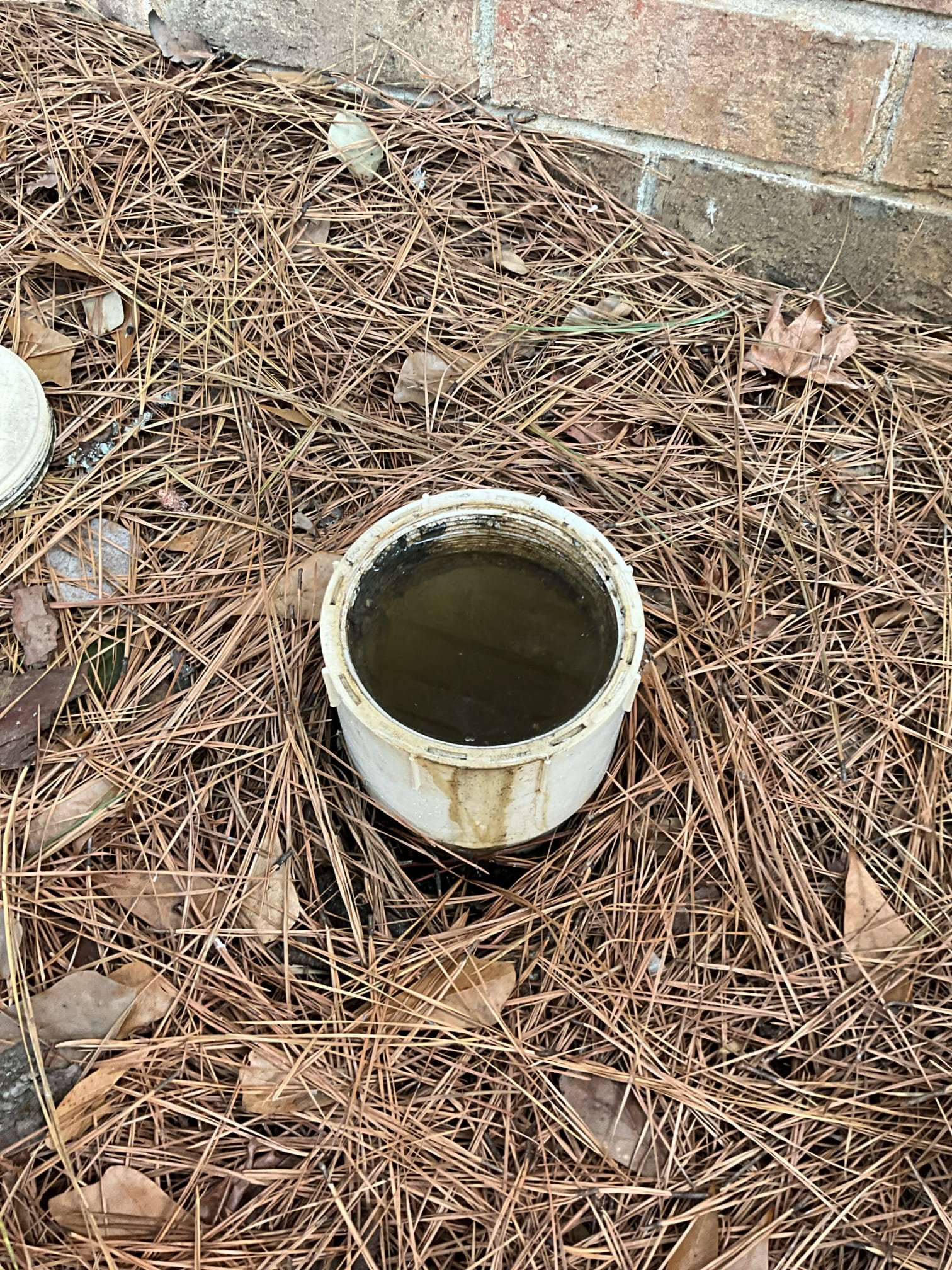 Call for sewer backup.

Met with and. Helen and she said both toilets and the tub were draining slow.

Inspections revealed standing water at house clean out. Clean out at street side had visible root ball growing up. 

Returned with hydrojet and jet line and removed all standing roots. Camera shows county side still has root intrusion and will backup again if left unrepaired. After clearing main line by street clean out, I ran camera to verify. When testing plumbing inside there was a residual blockage. Ran camera and jet simultaneously to carefully clear blockage without backspray inside home. Cleaned interior line and verified all fixtures draining.

To help Ms. Helen, I also sanitized and cleaned the tub after clearing all interior fixtures

I called in on behalf of Ms. Helen to report the mainline break. The sewer and water department said they must send emergency response first, and they’ll assess for repairs. While on site they arrived, but mentioned that they are only responsib