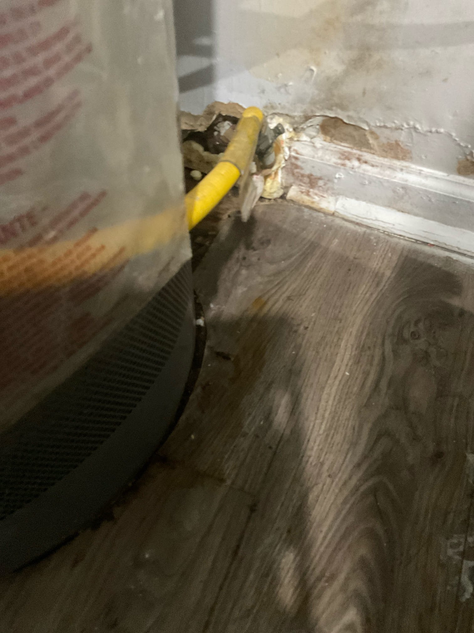 Quoted repair or replacement water line , and new water heater , could not reach customer, we just emailed quotes 