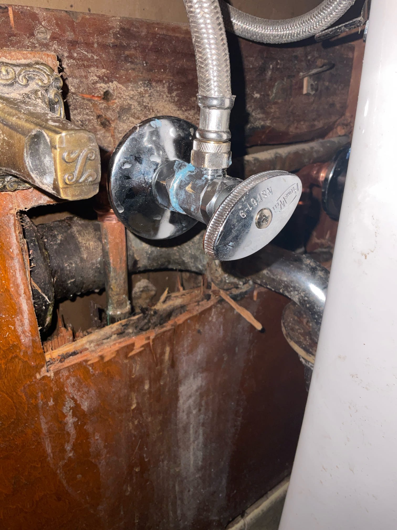 Arrived today for a emergency call , water line is busted under the 1/2 bathroom sink , we opened wall and replaced stop valve 