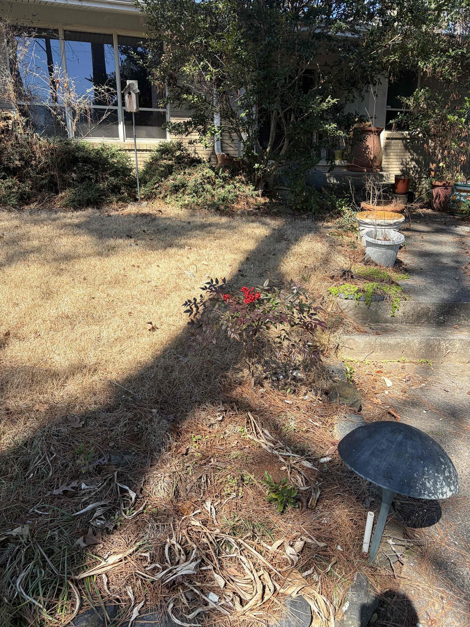 For this customer took a look at what she had going on the biggest complaint for was BROWN water. The homeowner does have brown water, and I believe it is due to the main water supply to the home from the meter to the inside of the utility room in the basement With that in mind what I’d recommend for them to do is replace the main waterline however I don’t know if it is galvanized or copper. The homeowner believes it is galvanized and that is the reason for the brown water. Also doing our inspection the tankless needs to be flushed out and or replaced at some point, but I believe it needs just needs to be flushed as of right now along with that garbage disposal in the kitchen is leaking so I recommended to get that replaced as well. At this time. The customer wants to wait on doing the repairs to get things done that aligns with her schedule. 