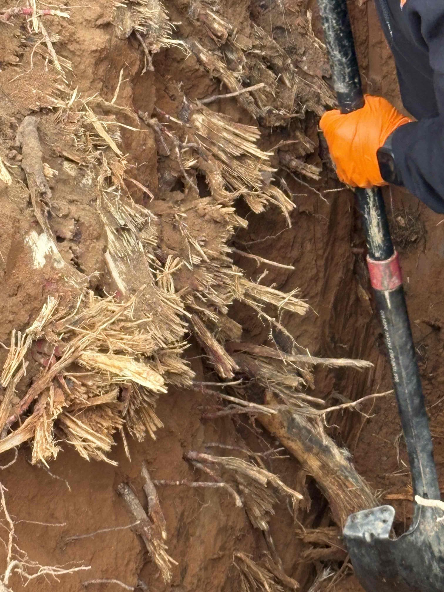 We came out yesterday due to a sewer line backed up into the home. We opened the clean out on side of home and inserted camera. Got about 35’ out and couldn’t go anymore, of course under water. Located it directly below a large pine tree in the front yard. We had to get it cleared so we got the jetter and jetted the line out to get it flowing. After clear, i put camera back in line and got to the same point as last time and I could see a section of broken pipe and a large root ball in the pipe as well. Again, directly below the large pine tree. The rest of the sewer line had 0 issues to the tap. 

Returned today to dig up the sewer line we located yesterday. After A LOT of tree roots and about 5’ of digging we were right on top of the problem section. Had to cut a lot of roots around the pipe and then was able to cut and remove the section of pipe. We repaired the pipe with a pvc repair coupling and a 4” husky band and secured. Bedded pipe down and then backfilled the hole as best we c