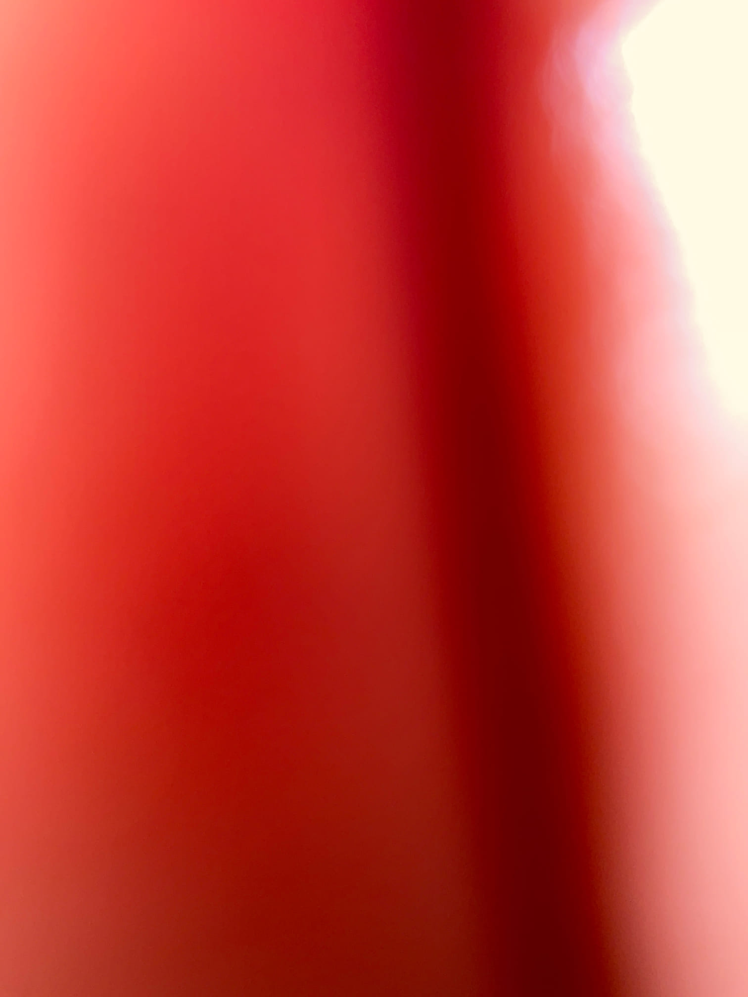 Customer got a main line backed up to rear bathroom toilet and shower , this is special skirted toilet need remove , snake and camera the line , we quoted price , customer want rent snake and Home Depot try it first . Collect dispatch fee today 